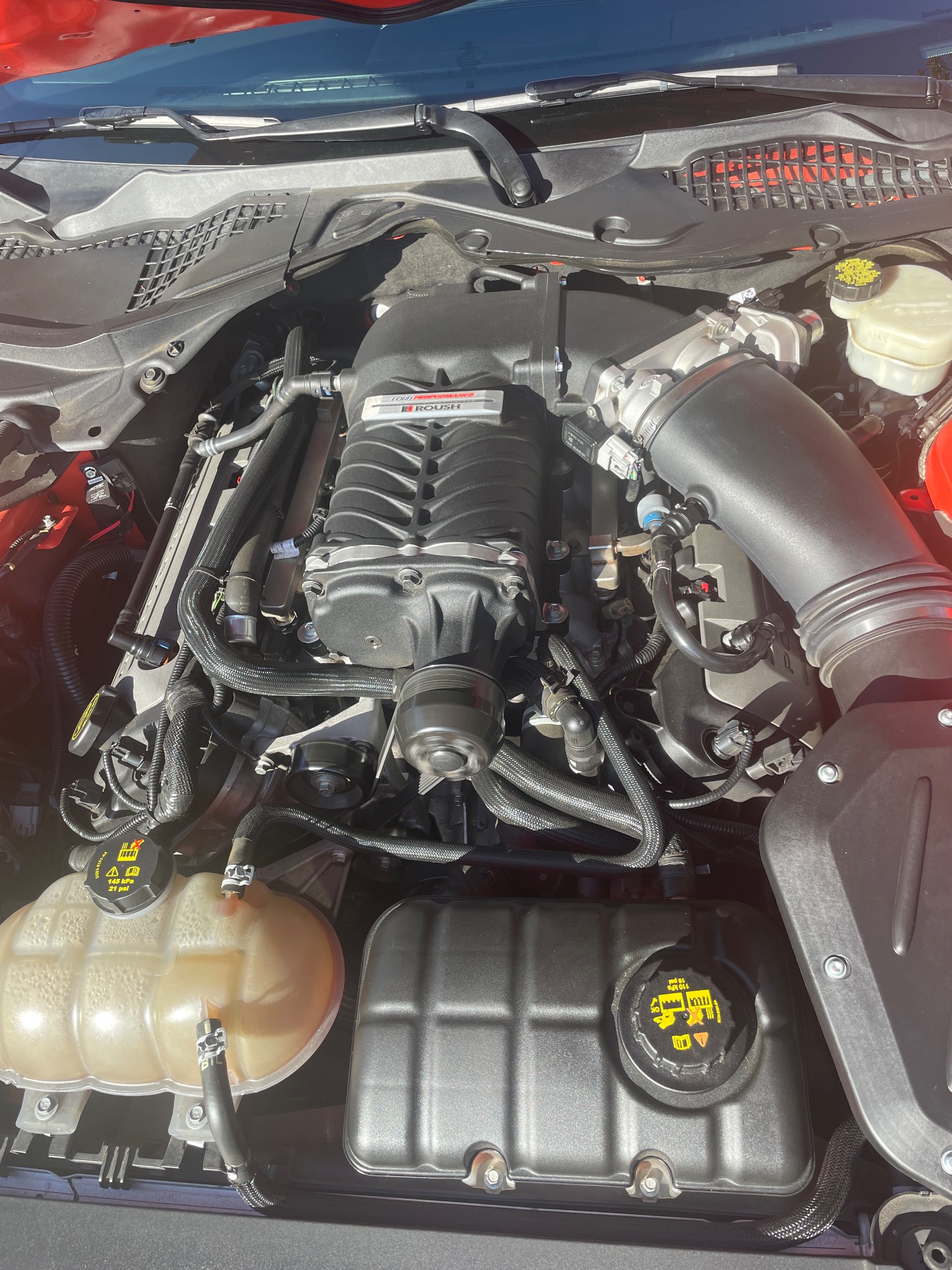 Used 2016 Ford Mustang GT Premium Rousch Stage 2-SEE VIDEO | St. Petersburg, FL