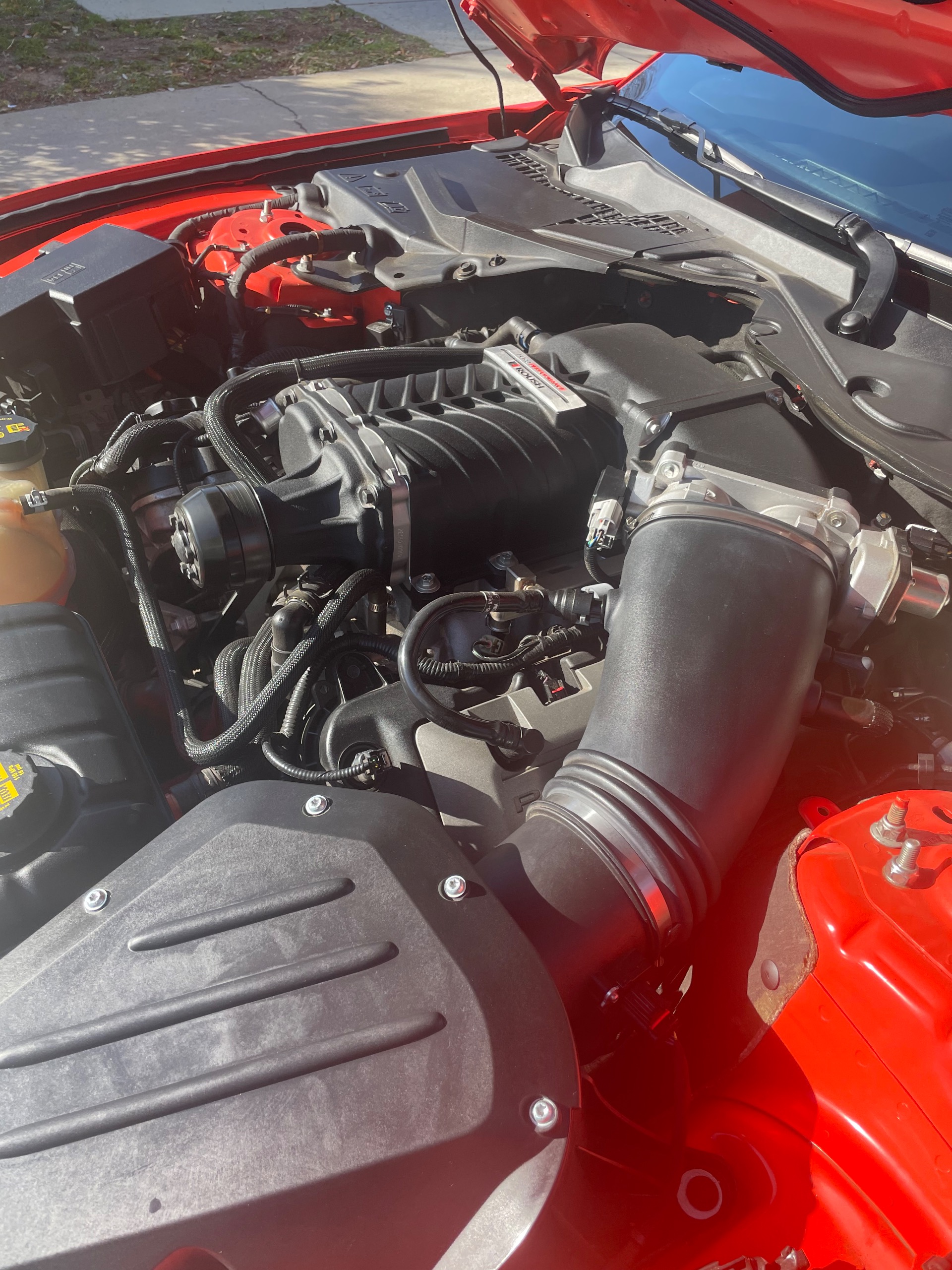 Used 2016 Ford Mustang GT Premium Rousch Stage 2-SEE VIDEO | St. Petersburg, FL