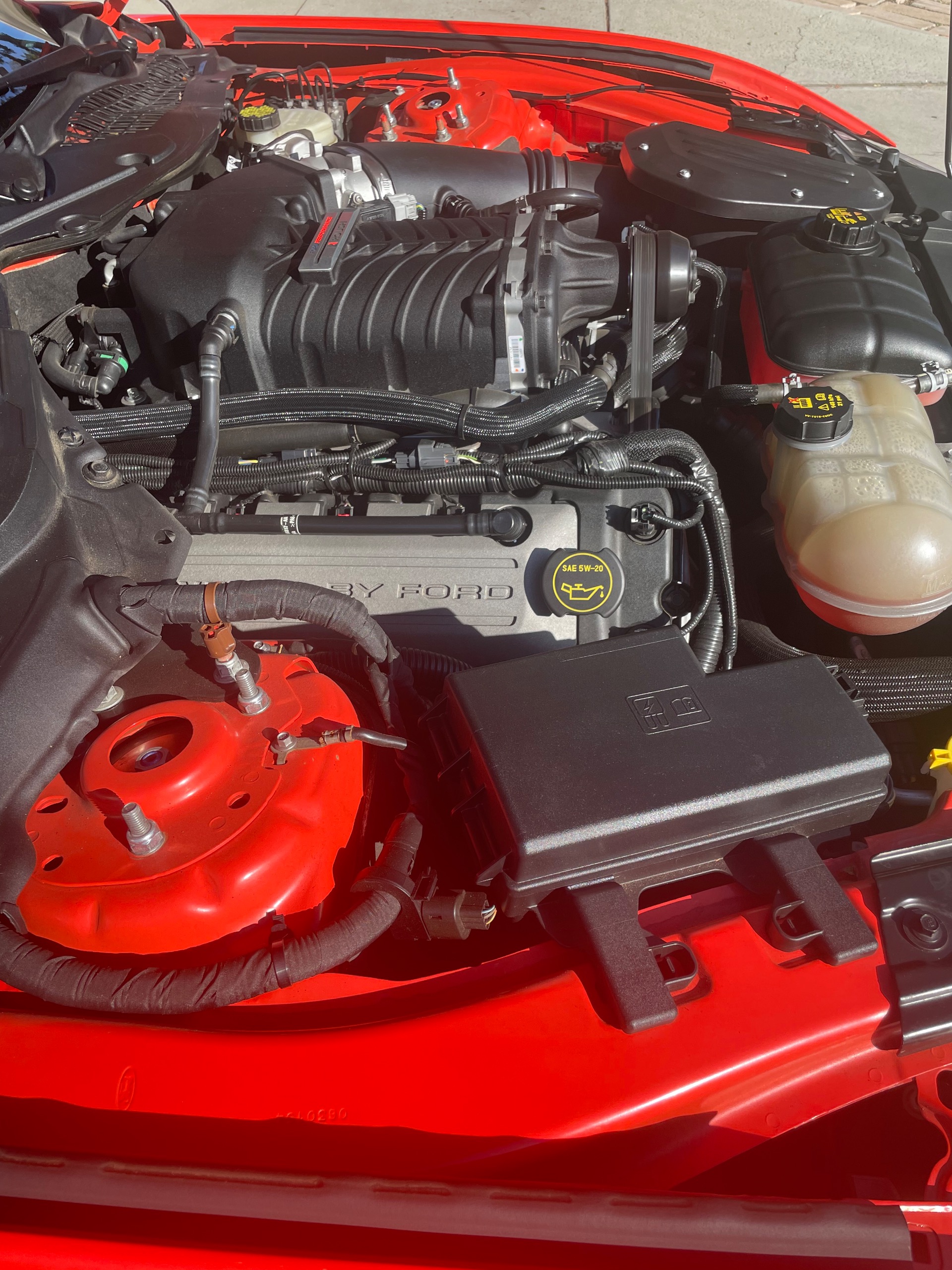 Used 2016 Ford Mustang GT Premium Rousch Stage 2-SEE VIDEO | St. Petersburg, FL