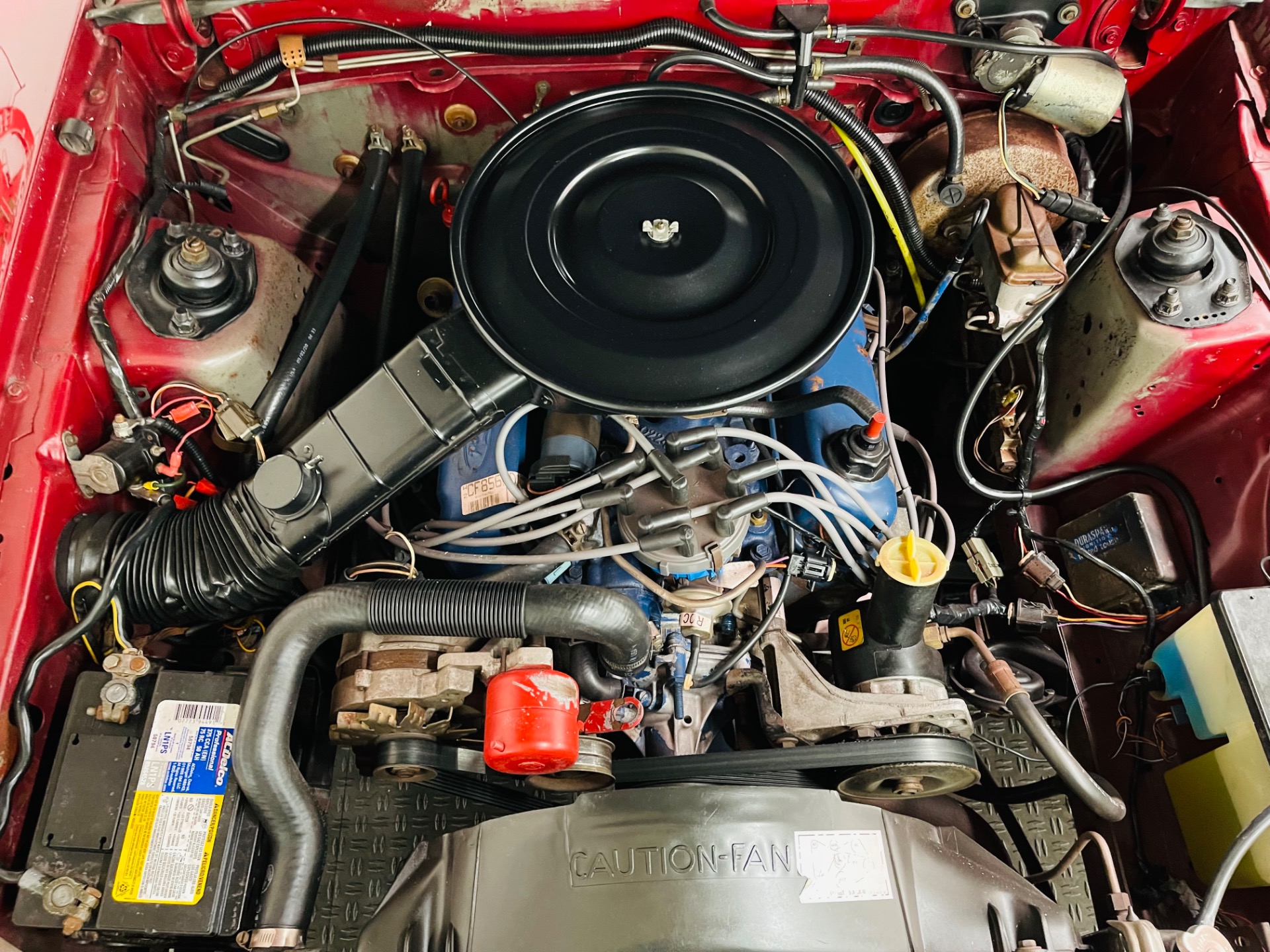 Used 1982 Ford Mustang - GL COUPE - V8 ENGINE - SEE VIDEO | St. Petersburg, FL
