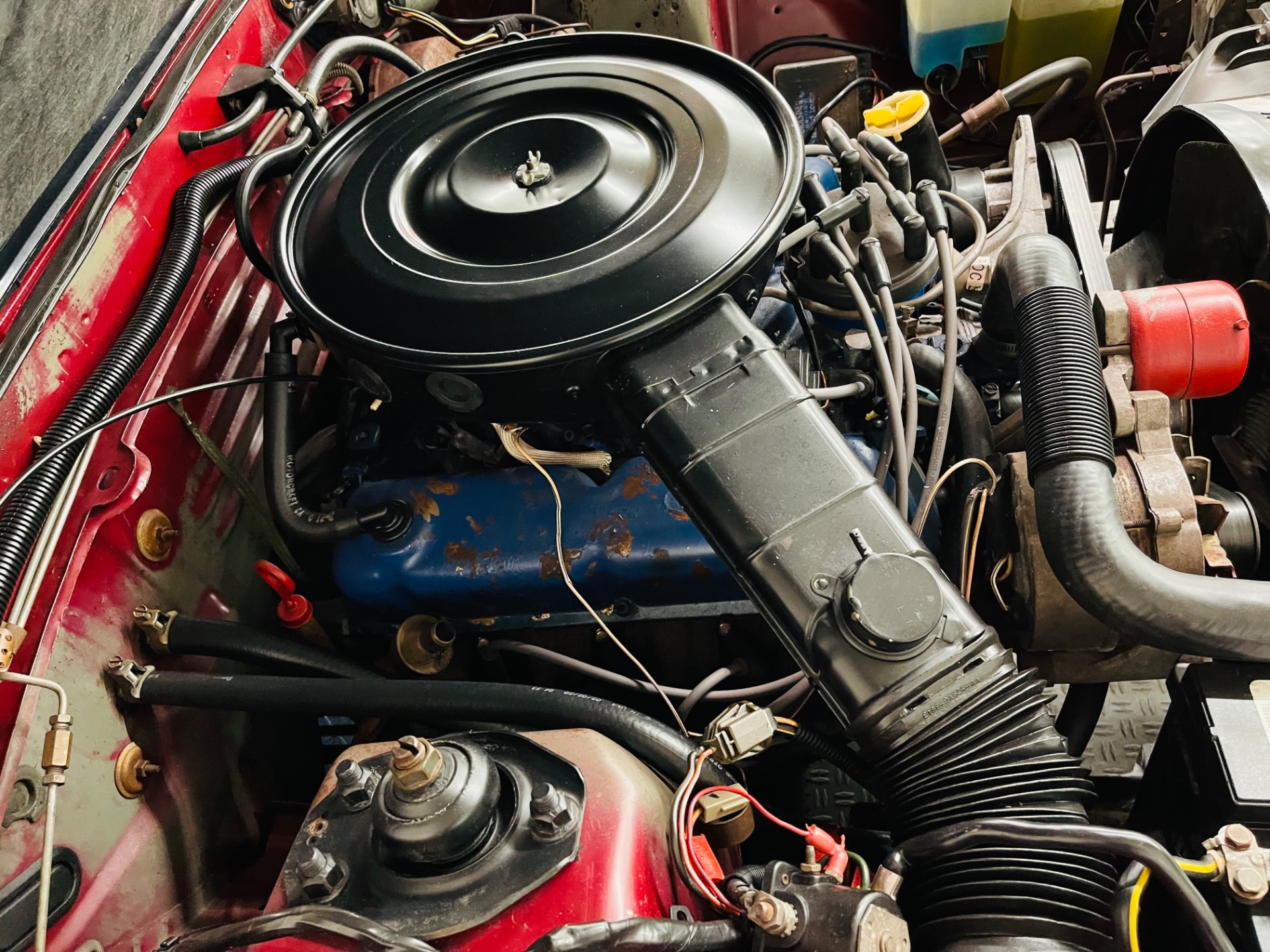Used 1982 Ford Mustang - GL COUPE - V8 ENGINE - SEE VIDEO | St. Petersburg, FL