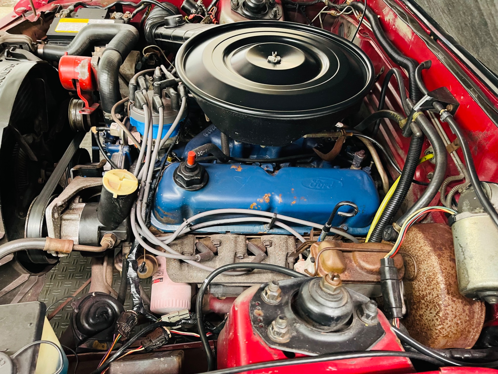 Used 1982 Ford Mustang - GL COUPE - V8 ENGINE - SEE VIDEO | St. Petersburg, FL