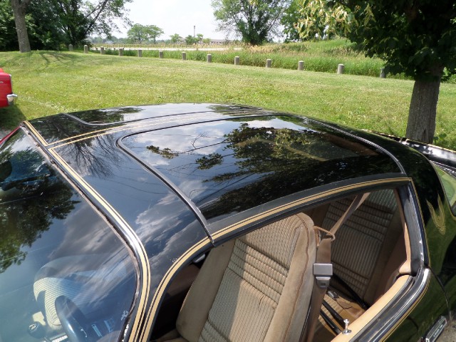 Used 1981 Pontiac Trans Am T-Tops-BLACK ON BLACK-SMOKEY/BANDIT-455 Engine-SEE VIDEO | Mundelein, IL