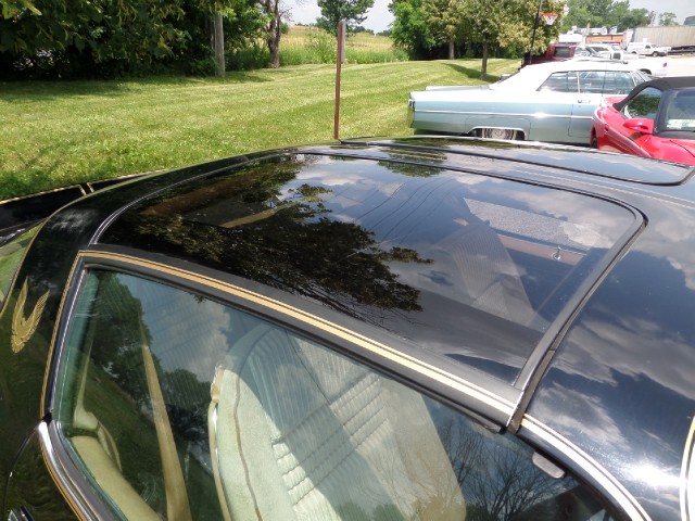 Used 1981 Pontiac Trans Am T-Tops-BLACK ON BLACK-SMOKEY/BANDIT-455 Engine-SEE VIDEO | Mundelein, IL