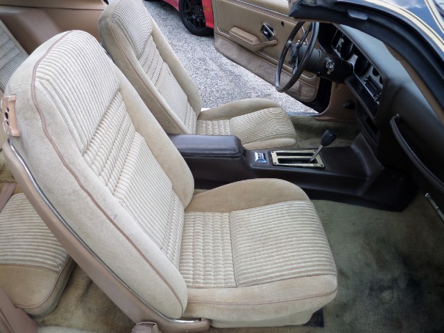 Used 1981 Pontiac Trans Am T-Tops-BLACK ON BLACK-SMOKEY/BANDIT-455 Engine-SEE VIDEO | Mundelein, IL