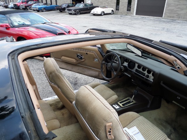 Used 1981 Pontiac Trans Am T-Tops-BLACK ON BLACK-SMOKEY/BANDIT-455 Engine-SEE VIDEO | Mundelein, IL
