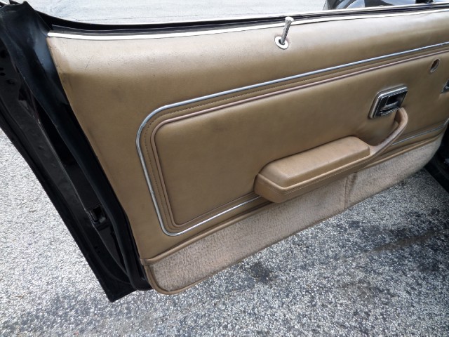 Used 1981 Pontiac Trans Am T-Tops-BLACK ON BLACK-SMOKEY/BANDIT-455 Engine-SEE VIDEO | Mundelein, IL