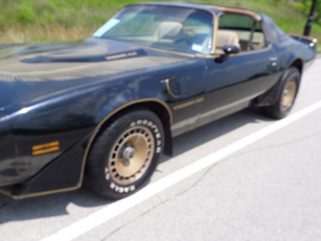 Used 1981 Pontiac Trans Am T-Tops-BLACK ON BLACK-SMOKEY/BANDIT-455 Engine-SEE VIDEO | Mundelein, IL
