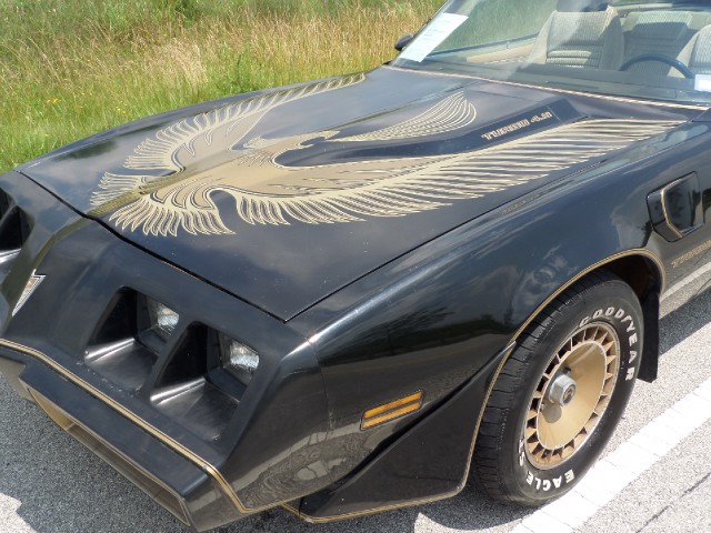 Used 1981 Pontiac Trans Am T-Tops-BLACK ON BLACK-SMOKEY/BANDIT-455 Engine-SEE VIDEO | Mundelein, IL