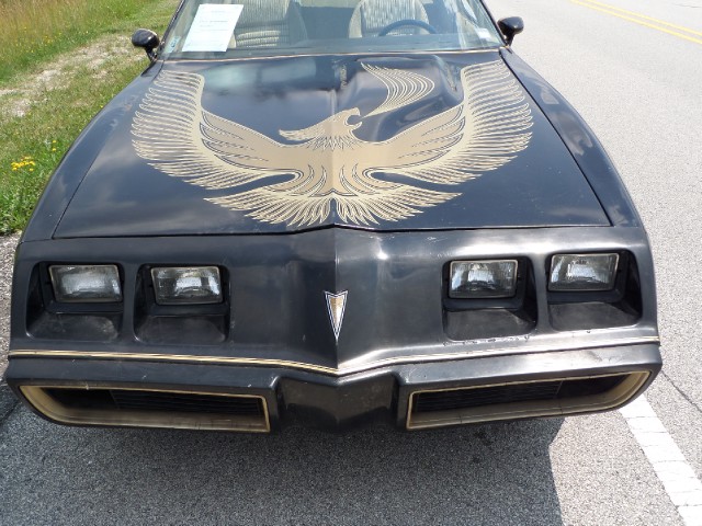Used 1981 Pontiac Trans Am T-Tops-BLACK ON BLACK-SMOKEY/BANDIT-455 Engine-SEE VIDEO | Mundelein, IL