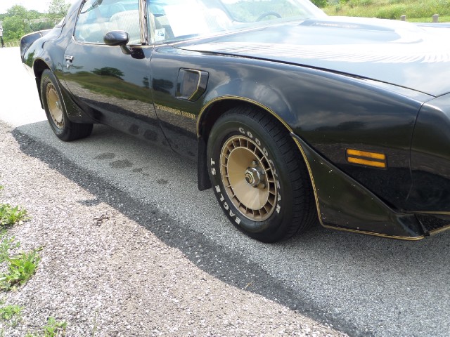 Used 1981 Pontiac Trans Am T-Tops-BLACK ON BLACK-SMOKEY/BANDIT-455 Engine-SEE VIDEO | Mundelein, IL