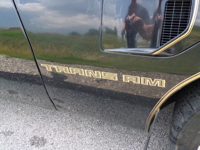 Used 1981 Pontiac Trans Am T-Tops-BLACK ON BLACK-SMOKEY/BANDIT-455 Engine-SEE VIDEO | Mundelein, IL