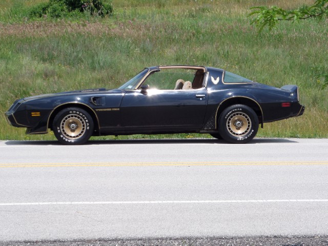 Used 1981 Pontiac Trans Am T-Tops-BLACK ON BLACK-SMOKEY/BANDIT-455 Engine-SEE VIDEO | Mundelein, IL