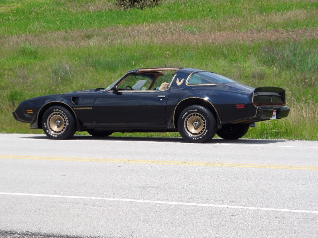 Used 1981 Pontiac Trans Am T-Tops-BLACK ON BLACK-SMOKEY/BANDIT-455 Engine-SEE VIDEO | Mundelein, IL