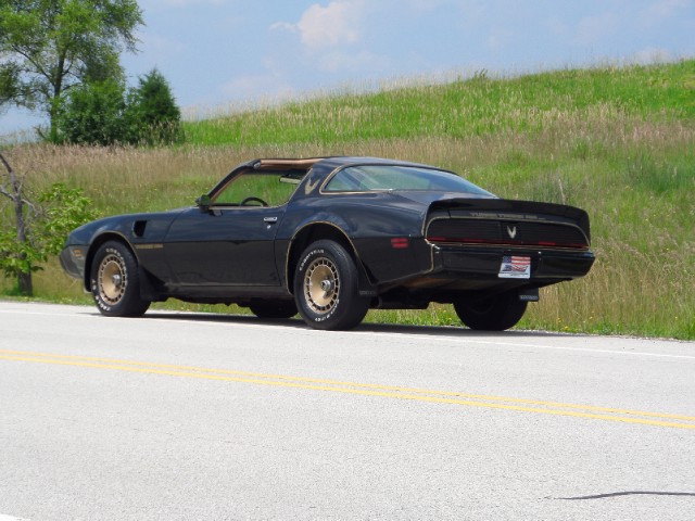 Used 1981 Pontiac Trans Am T-Tops-BLACK ON BLACK-SMOKEY/BANDIT-455 Engine-SEE VIDEO | Mundelein, IL