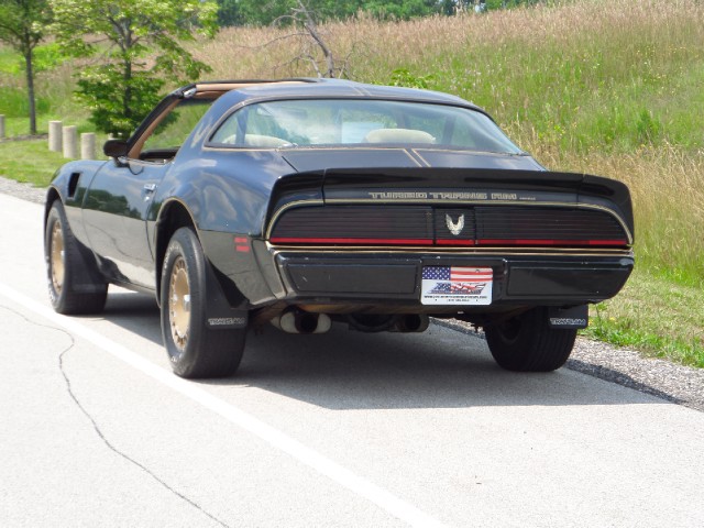 Used 1981 Pontiac Trans Am T-Tops-BLACK ON BLACK-SMOKEY/BANDIT-455 Engine-SEE VIDEO | Mundelein, IL