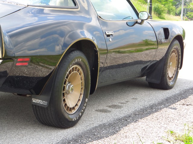 Used 1981 Pontiac Trans Am T-Tops-BLACK ON BLACK-SMOKEY/BANDIT-455 Engine-SEE VIDEO | Mundelein, IL