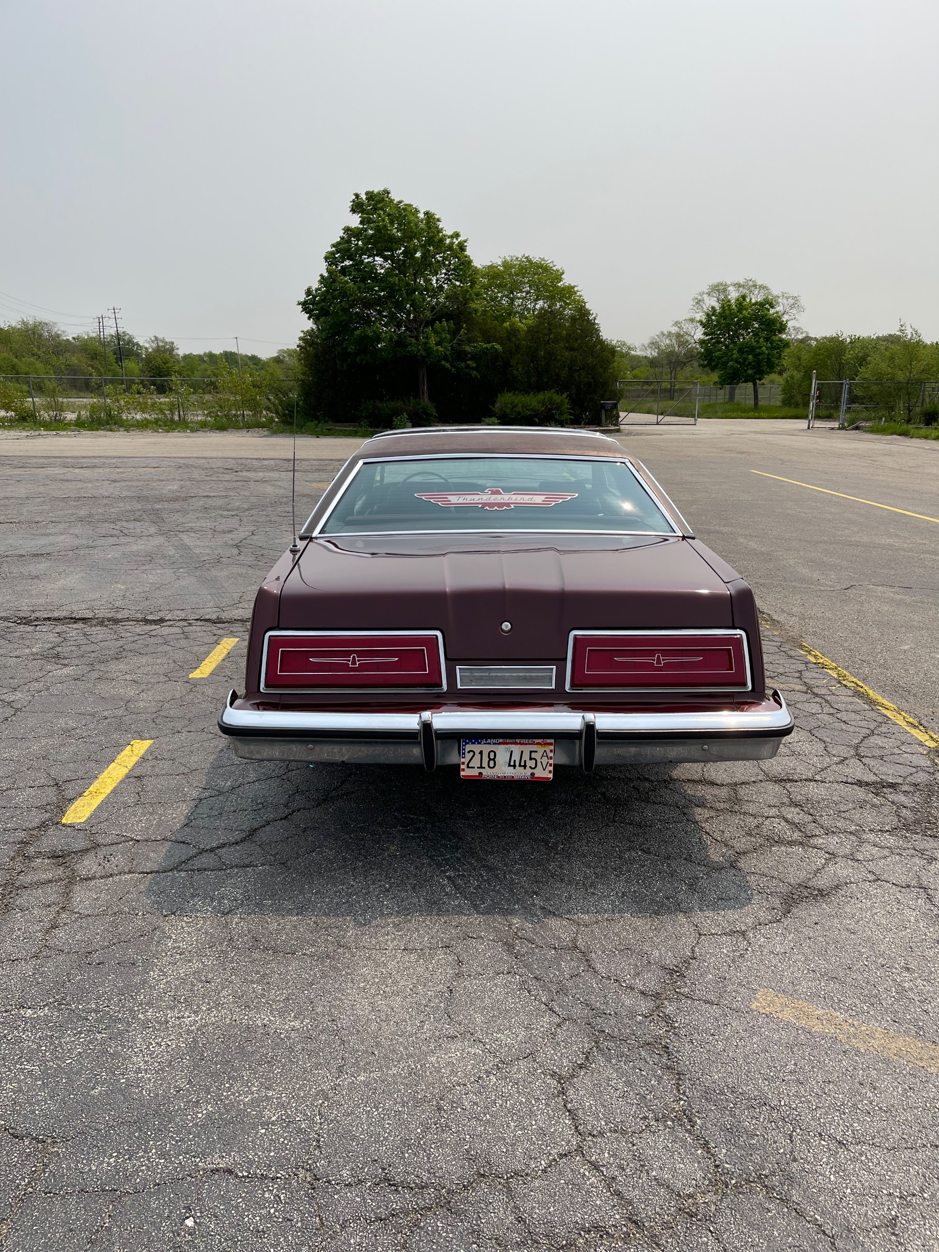 Used 1979 FORD Thunderbird | St. Petersburg, FL