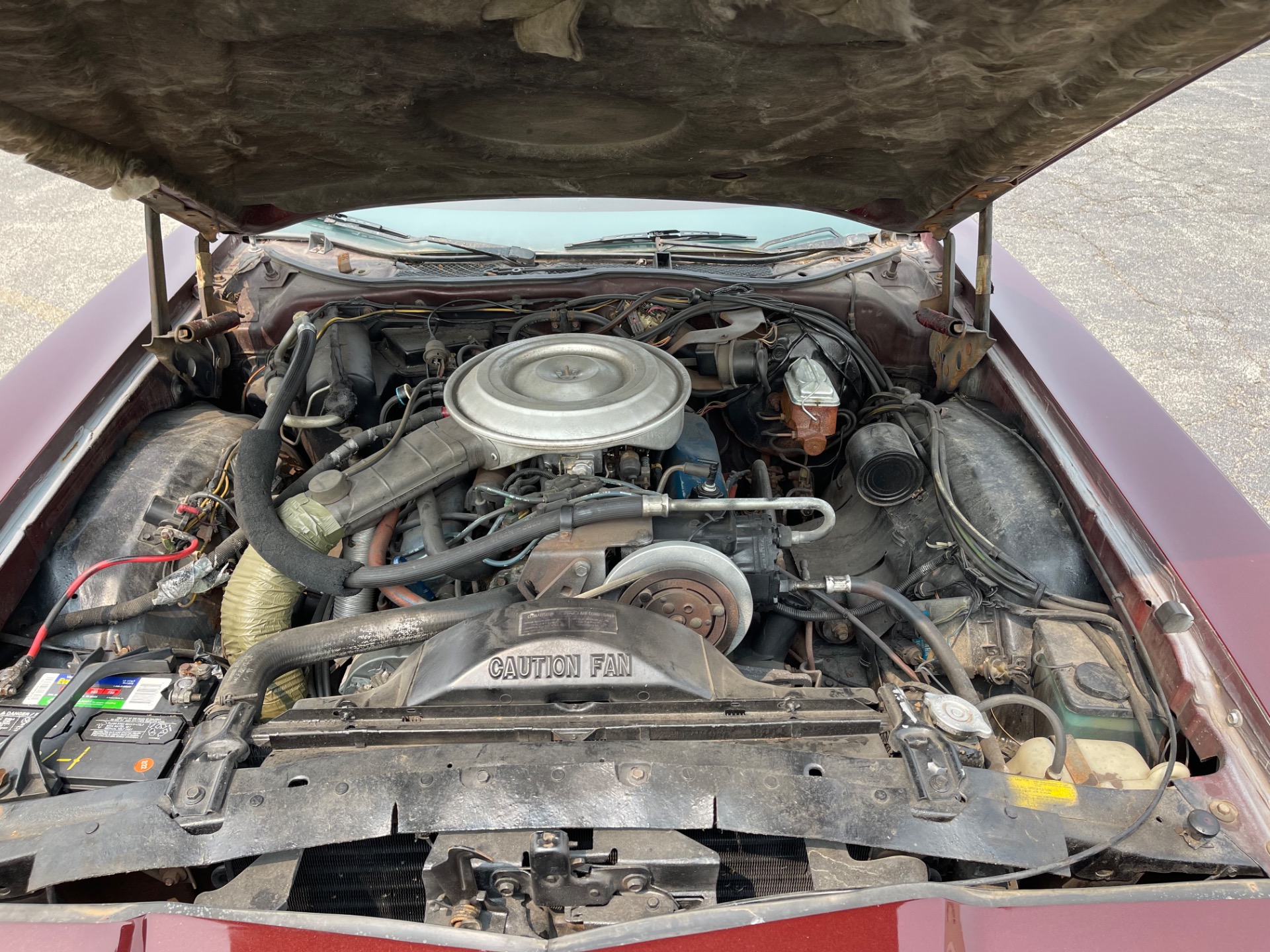 Used 1979 FORD Thunderbird | St. Petersburg, FL