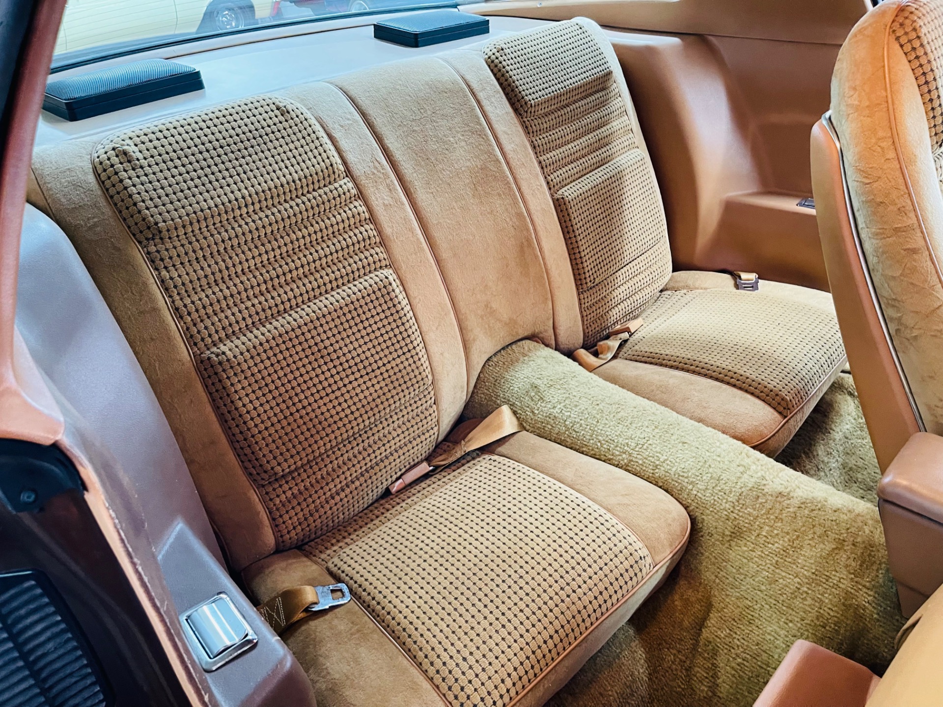 Used 1979 Pontiac Firebird - TRANS AM - SUPER LOW MILES - | Mundelein, IL