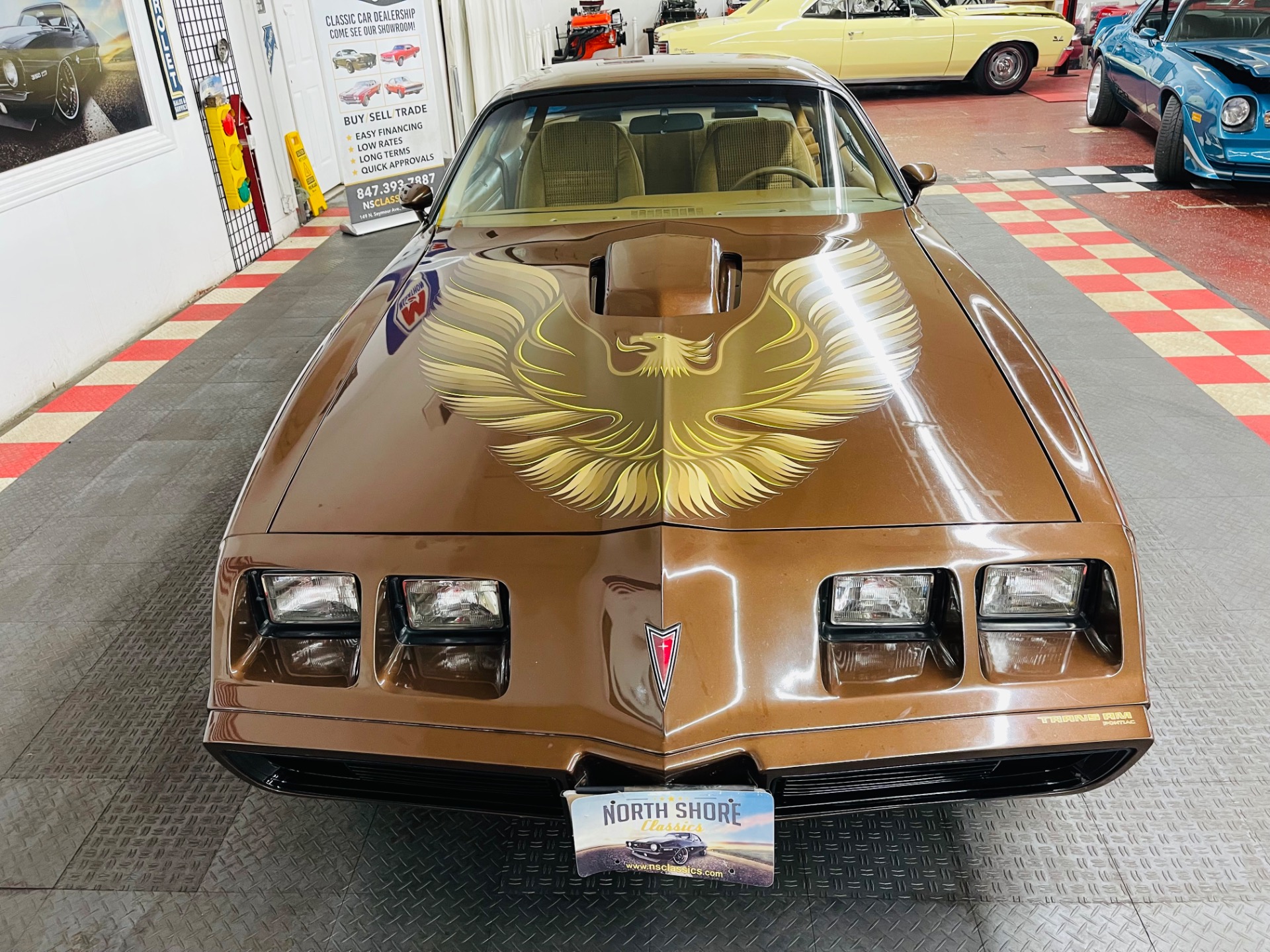 Used 1979 Pontiac Firebird - TRANS AM - SUPER LOW MILES - | Mundelein, IL