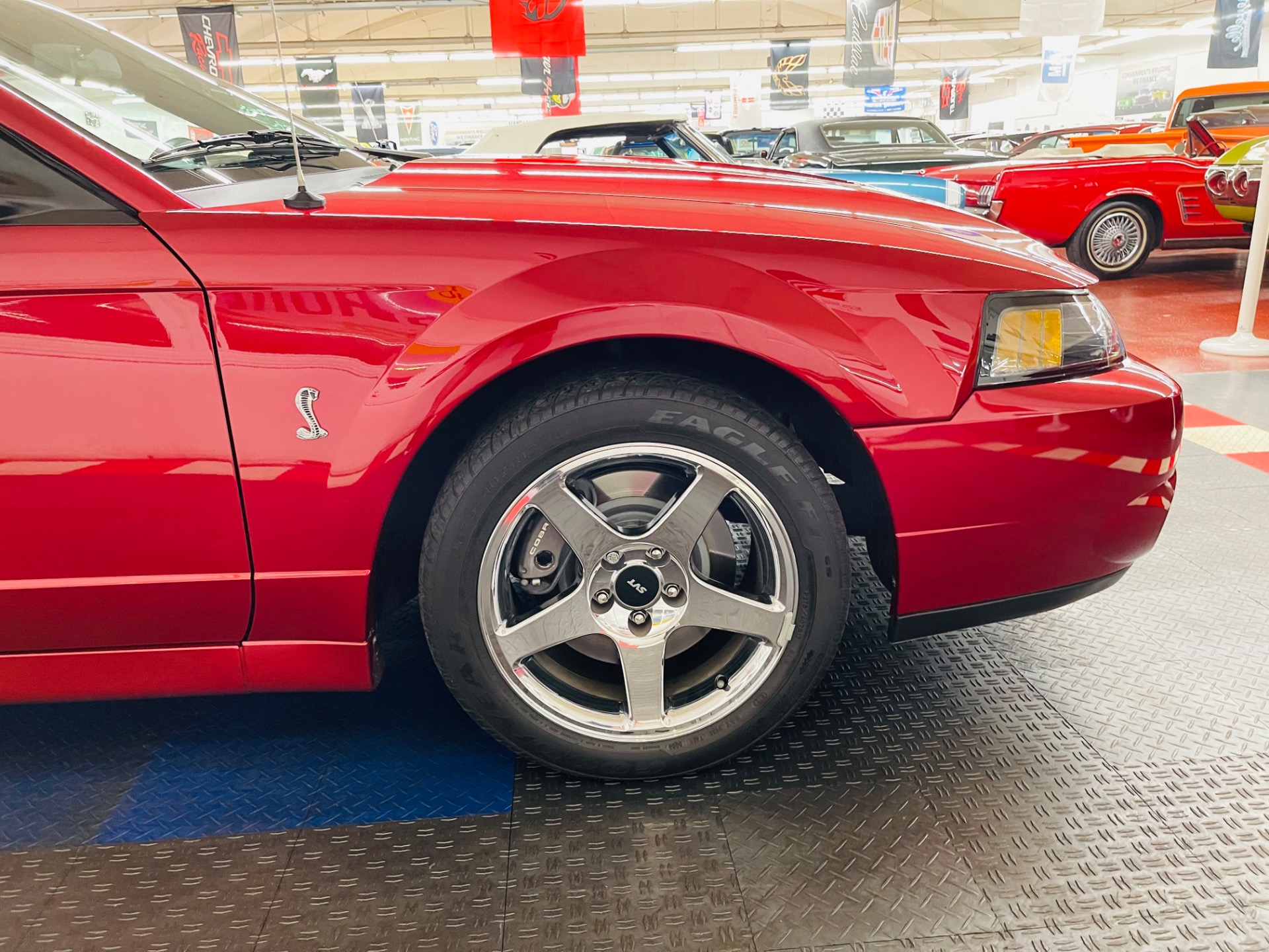 Used 2004 Ford Mustang SVT Cobra 1 OWNER ONLY11K MILES SVT | Mundelein, IL