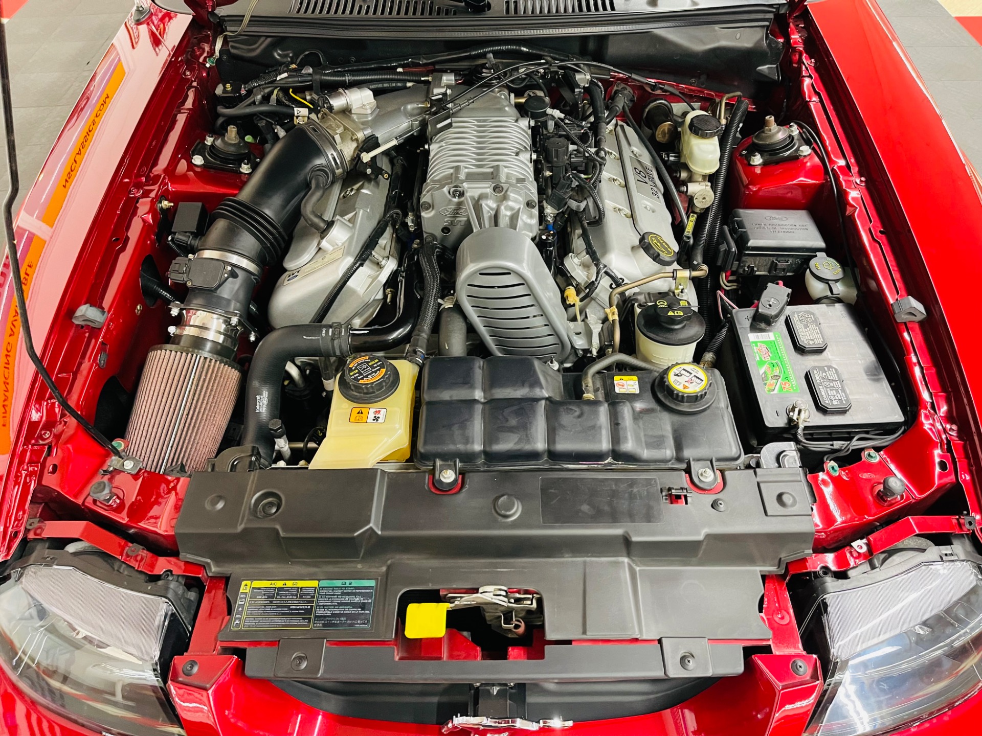 Used 2004 Ford Mustang SVT Cobra 1 OWNER ONLY11K MILES SVT | Mundelein, IL