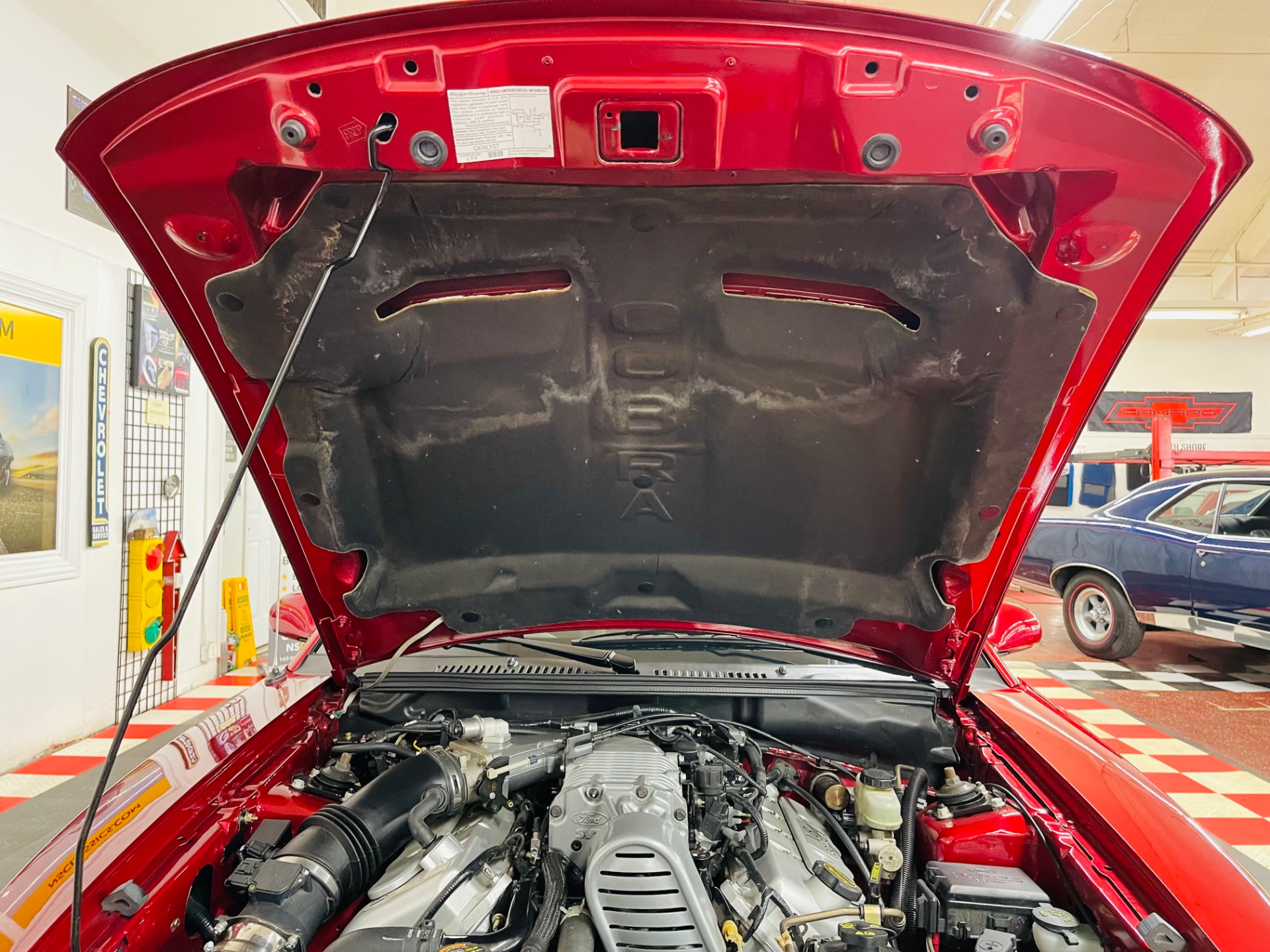 Used 2004 Ford Mustang SVT Cobra 1 OWNER ONLY11K MILES SVT | Mundelein, IL