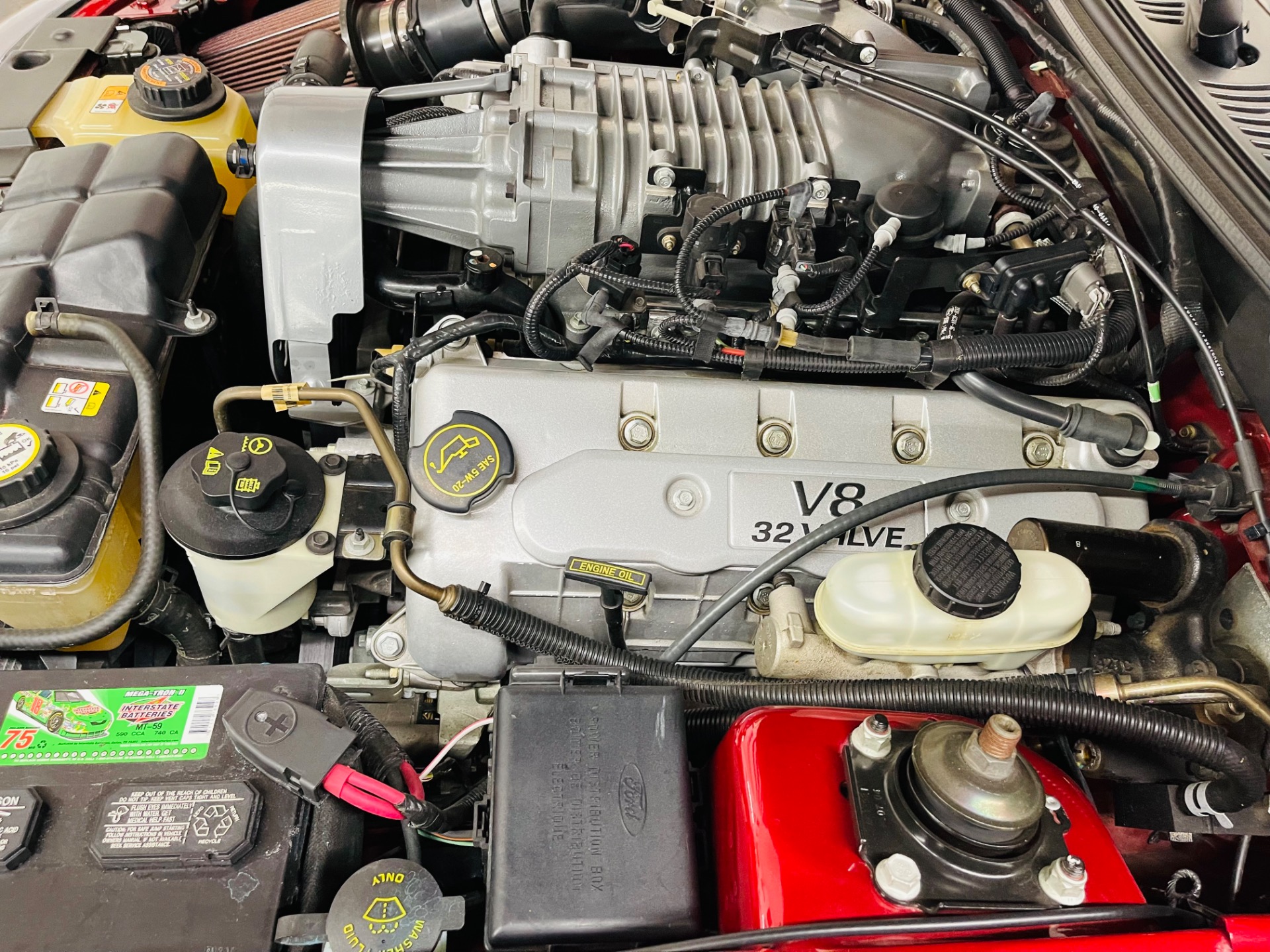Used 2004 Ford Mustang SVT Cobra 1 OWNER ONLY11K MILES SVT | Mundelein, IL