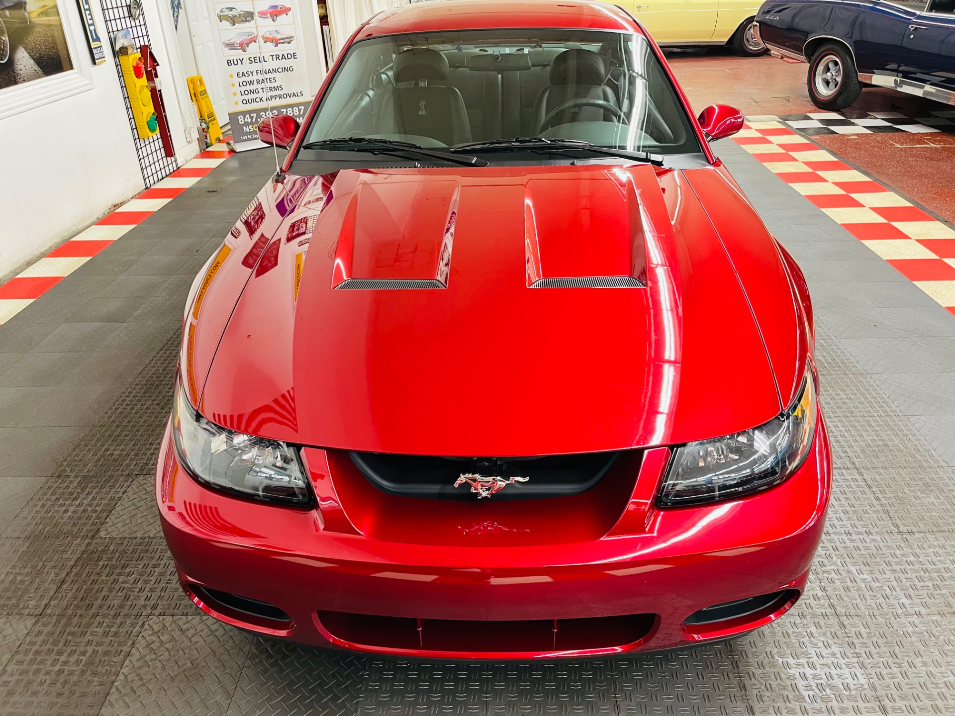 Used 2004 Ford Mustang SVT Cobra 1 OWNER ONLY11K MILES SVT | Mundelein, IL