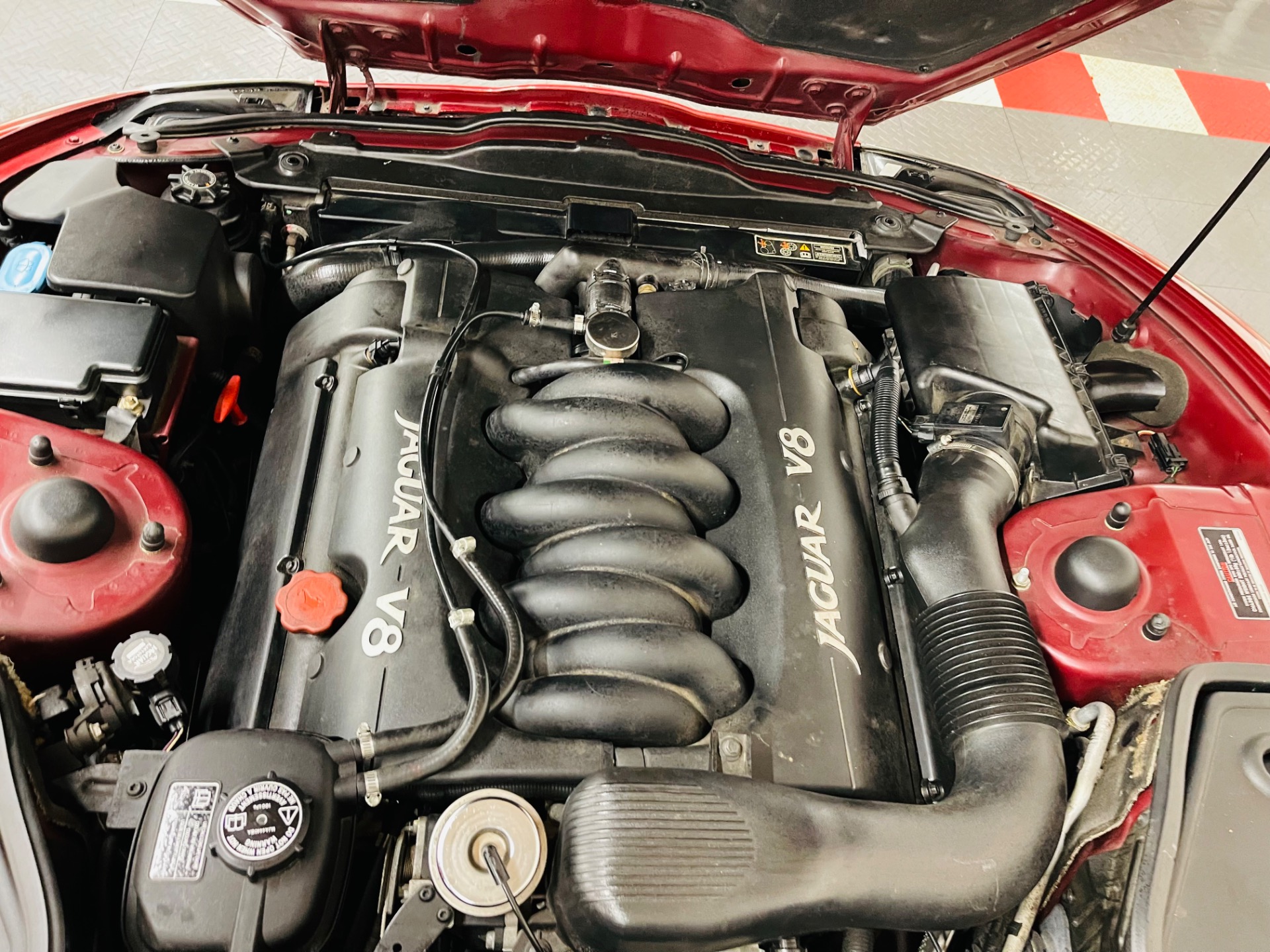 Used 1997 Jaguar XK-Series XK8 Low Miles-SEE VIDEO | St. Petersburg, FL