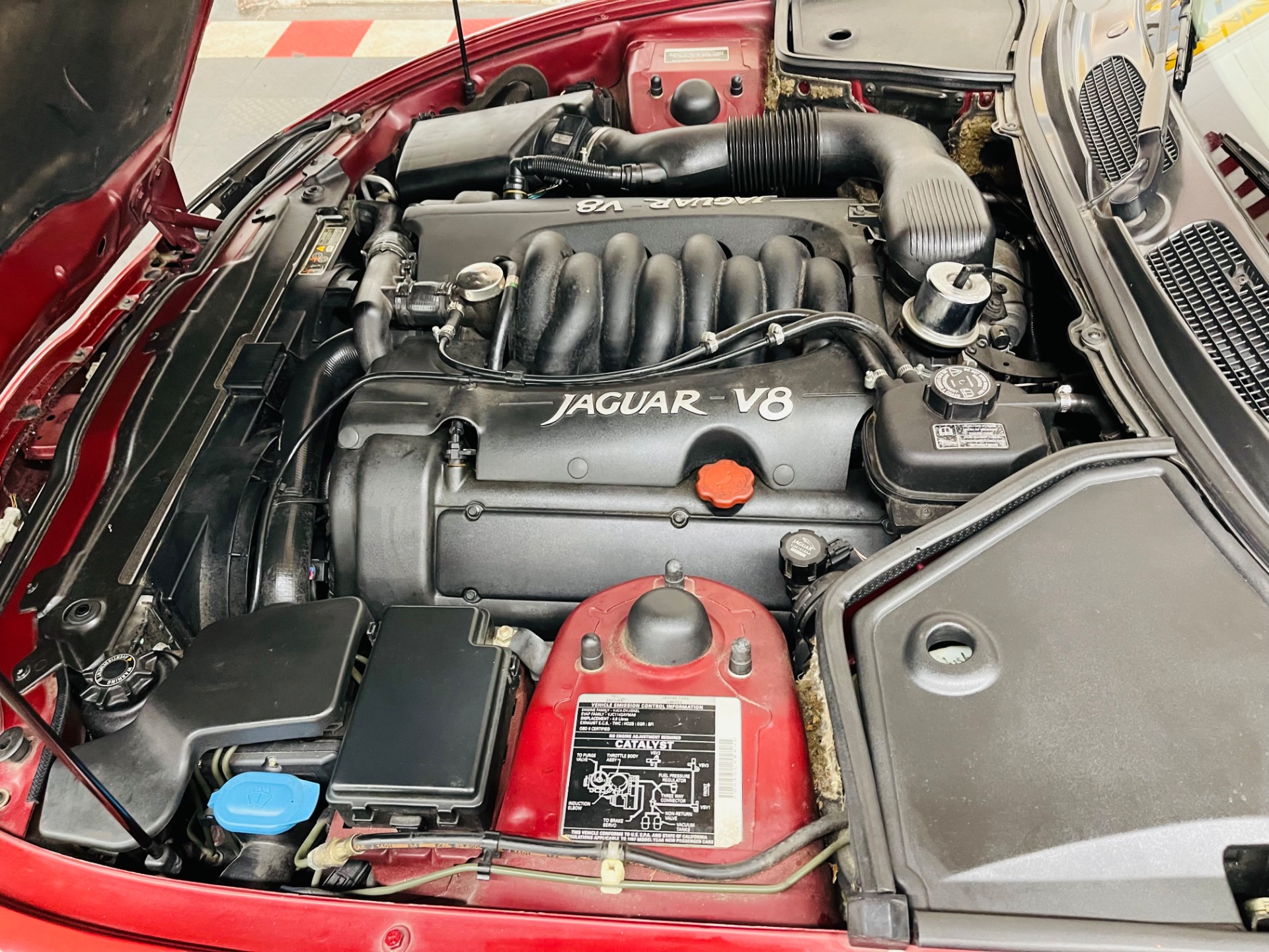 Used 1997 Jaguar XK-Series XK8 Low Miles-SEE VIDEO | St. Petersburg, FL