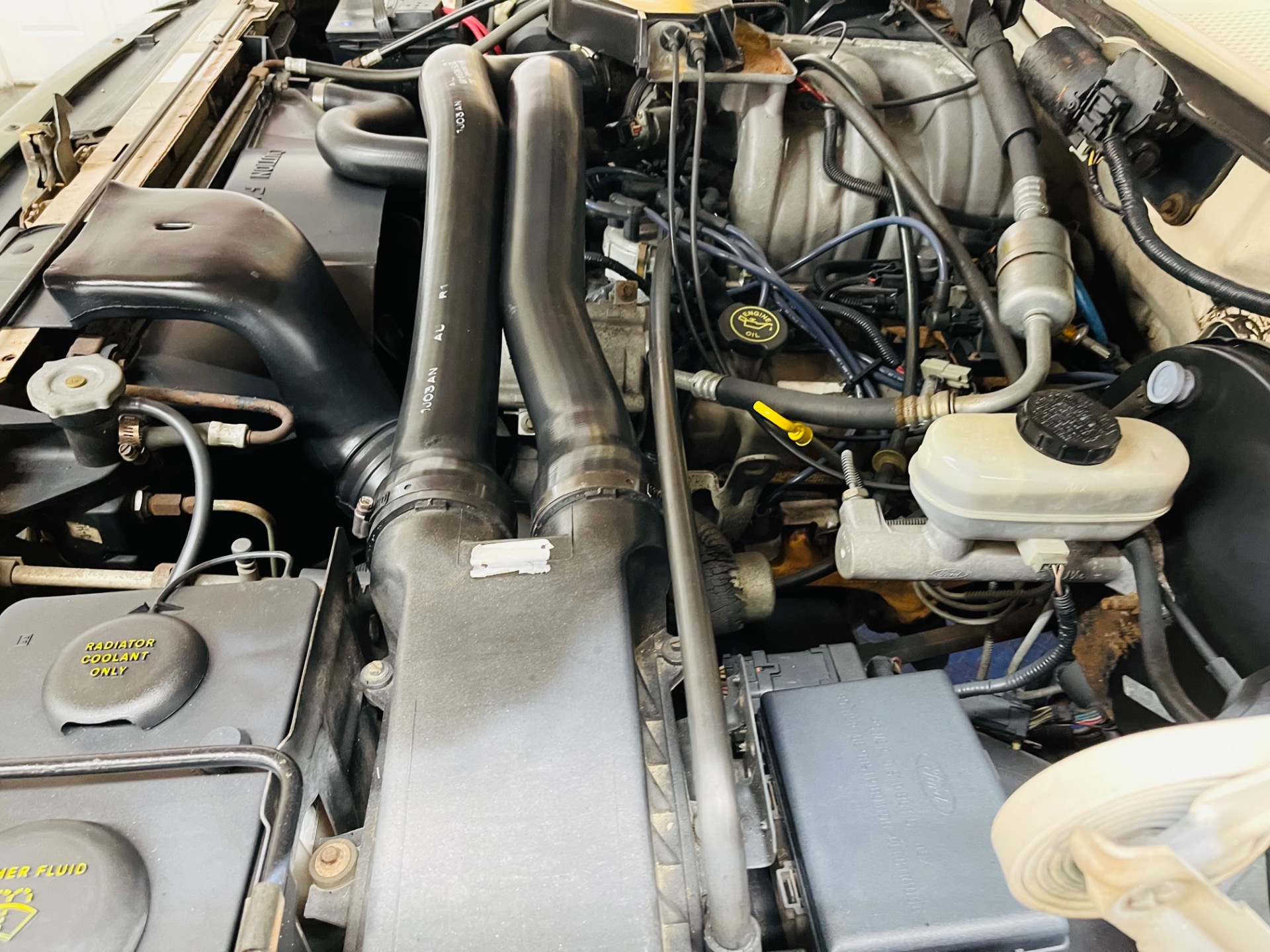 Used 1992 Ford F-150 - XLT - 4X4 - CLEAN SOUTHERN TRUCK -SEE VIDEO | St. Petersburg, FL