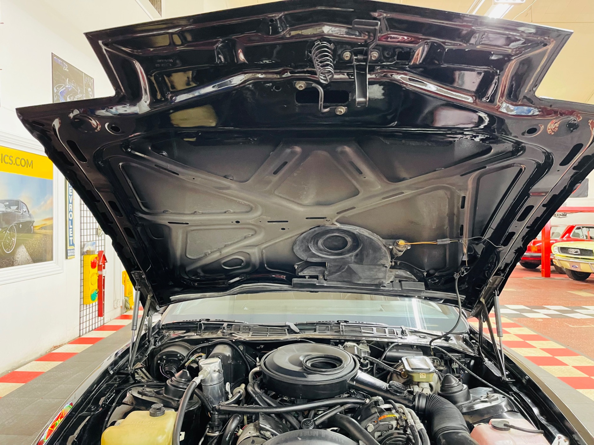 Used 1983 Pontiac Firebird - TRANS AM - SUPER LOW MILES -SEE VIDEO | St. Petersburg, FL