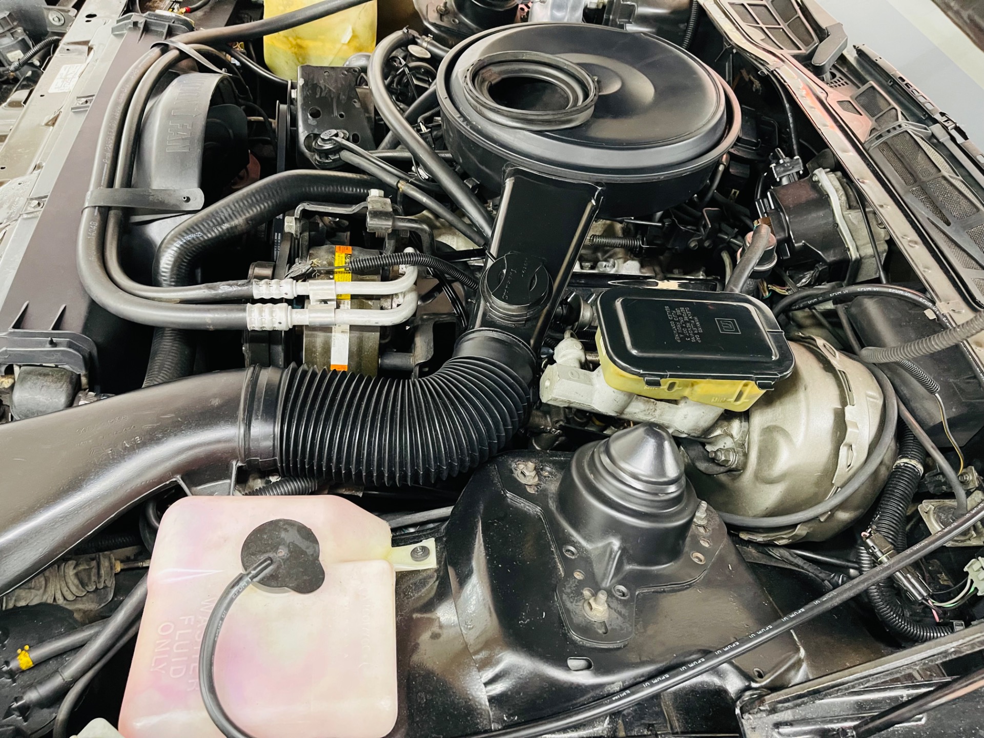 Used 1983 Pontiac Firebird - TRANS AM - SUPER LOW MILES -SEE VIDEO | St. Petersburg, FL