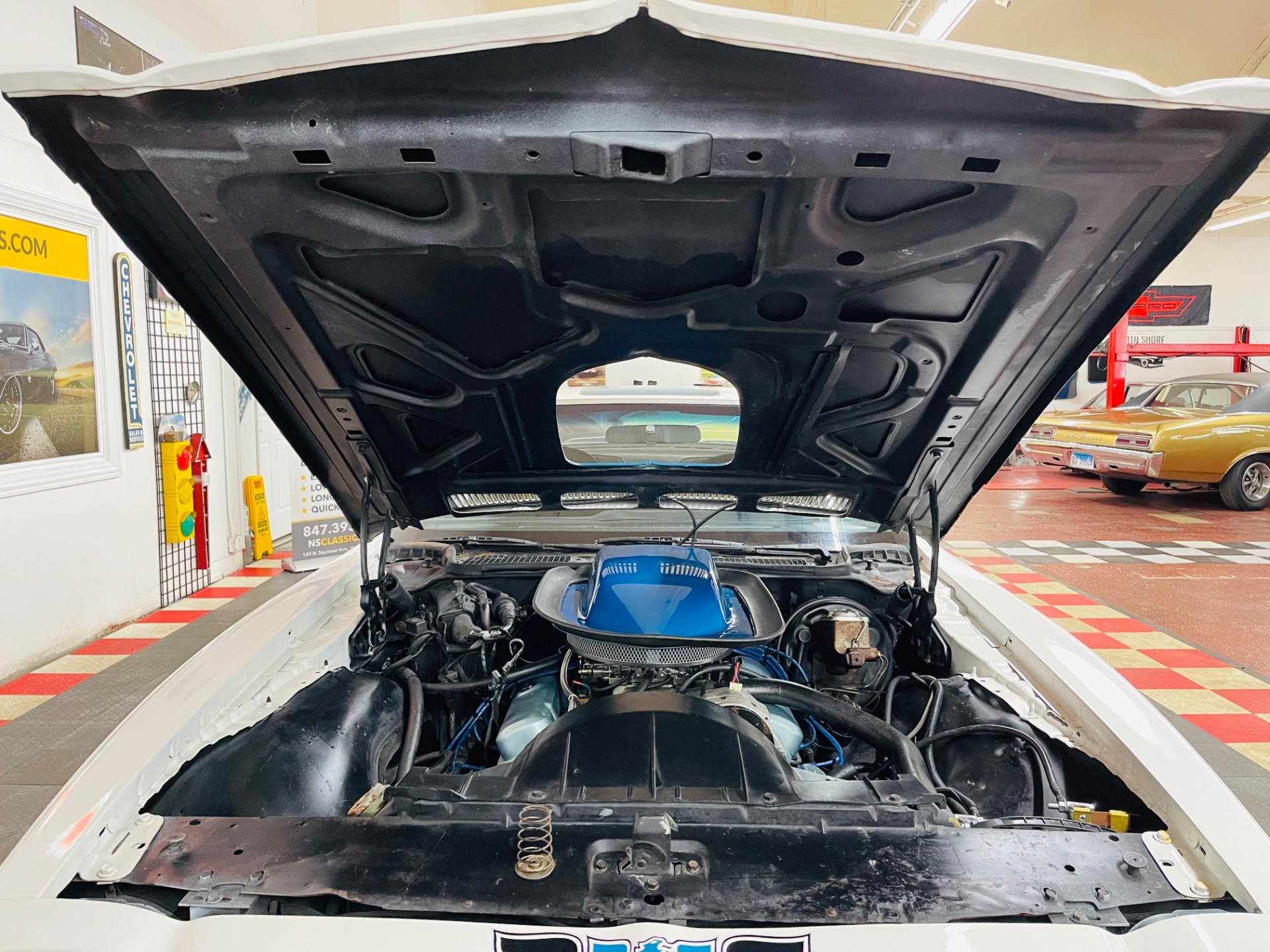 Used 1971 Pontiac Firebird - TRANS AM 455 H.O. TRIBUTE -SEE VIDEO | St. Petersburg, FL