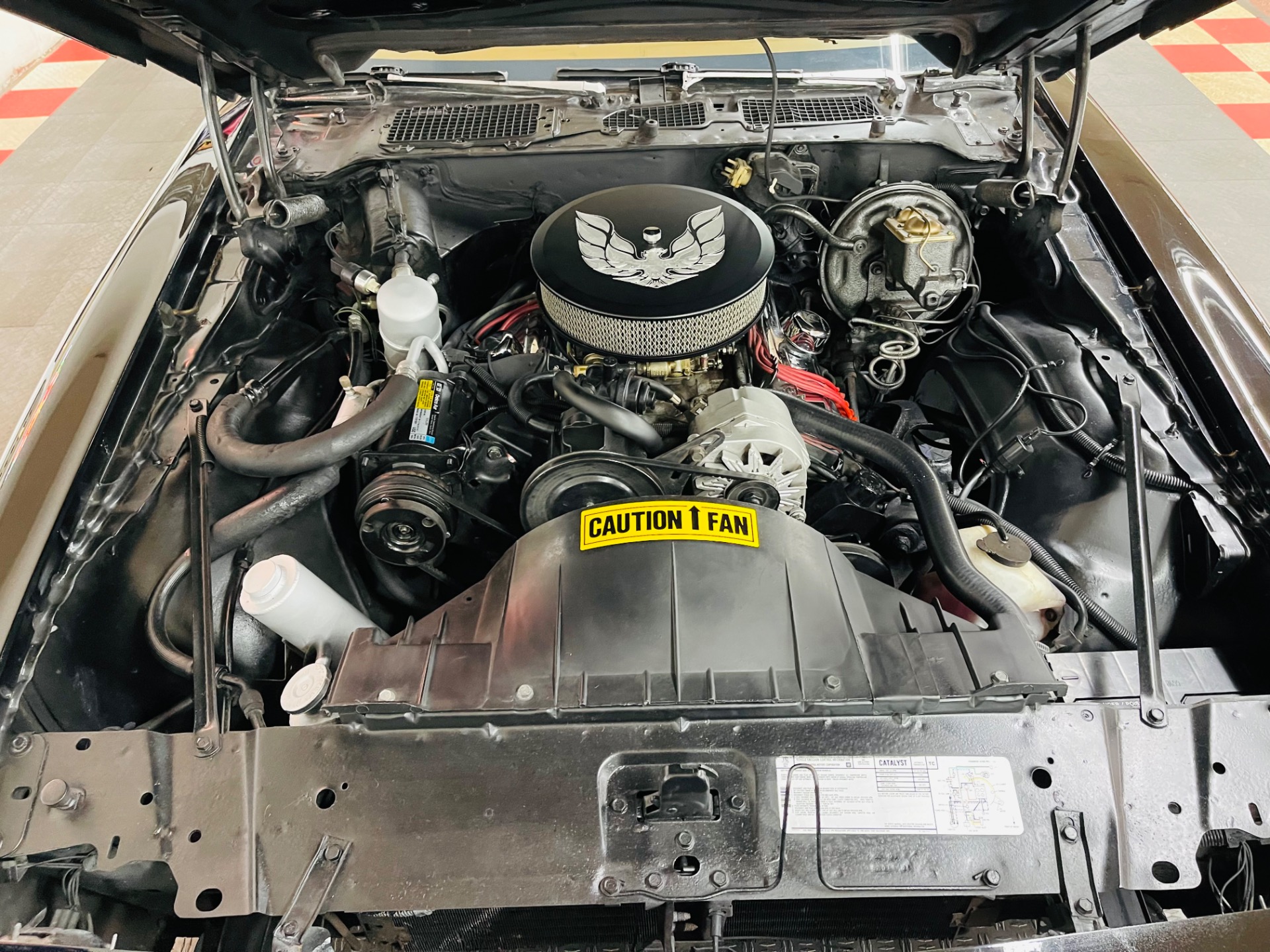 Used 1980 Pontiac Firebird - BLACK AND TAN - GREAT DRIVING CLASSIC -SEE VIDEO | St. Petersburg, FL