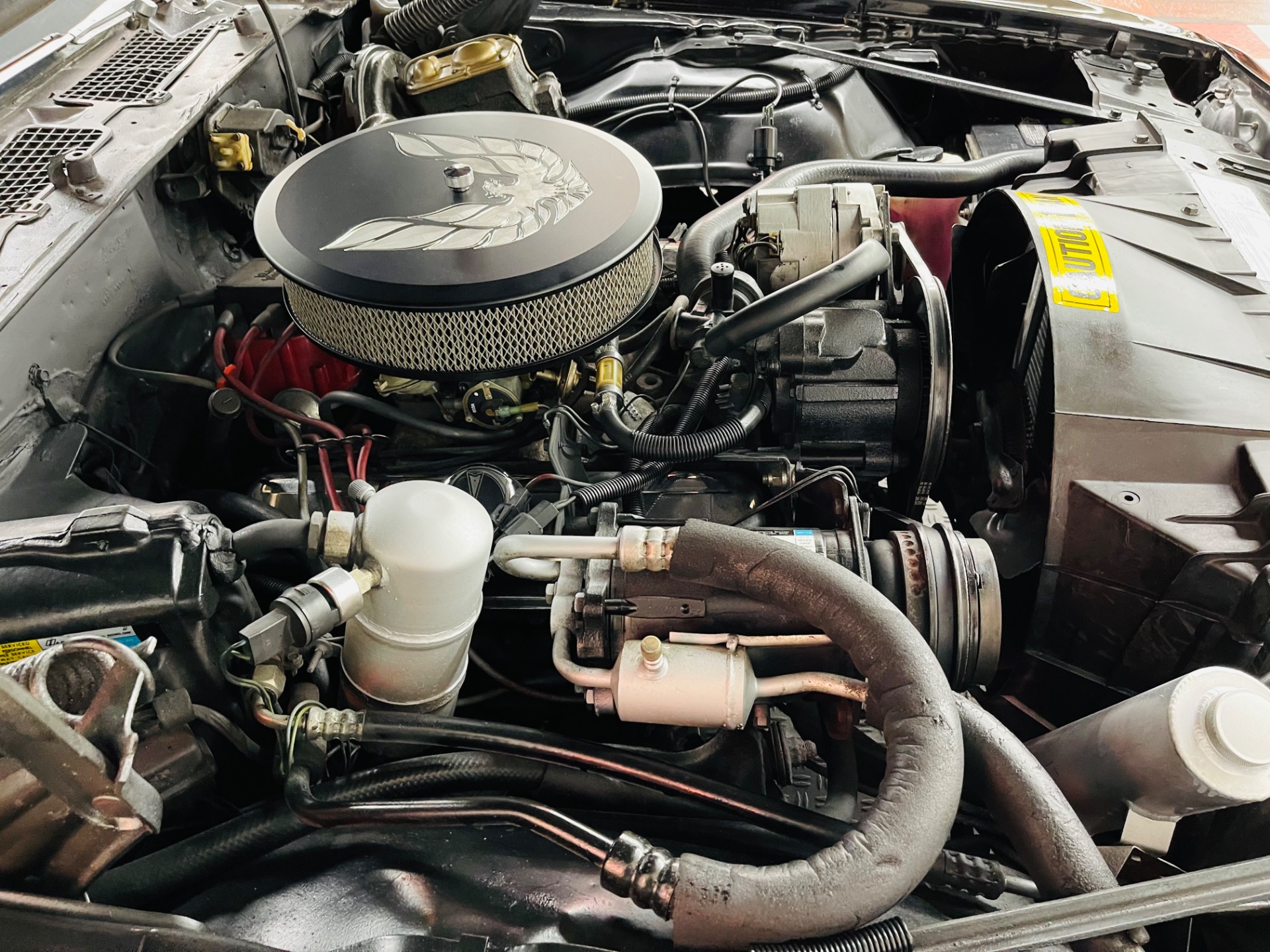 Used 1980 Pontiac Firebird - BLACK AND TAN - GREAT DRIVING CLASSIC -SEE VIDEO | St. Petersburg, FL