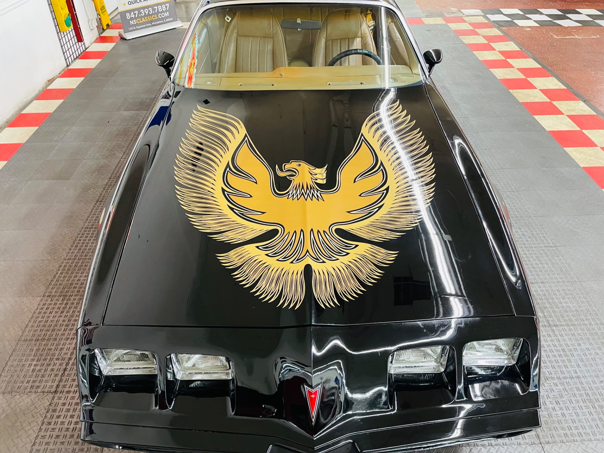 Used 1980 Pontiac Firebird - BLACK AND TAN - GREAT DRIVING CLASSIC -SEE VIDEO | St. Petersburg, FL