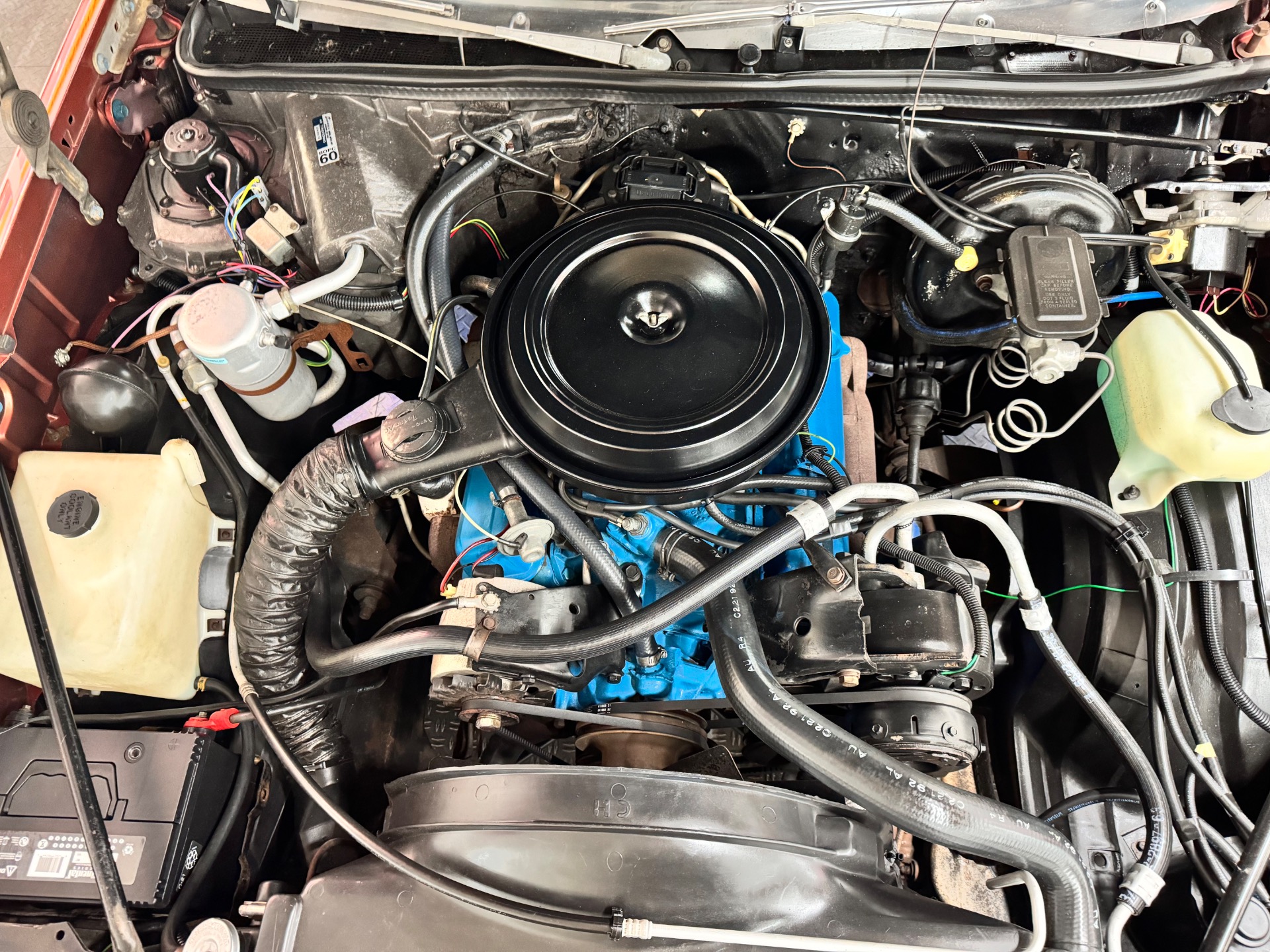 Used 1978 Oldsmobile Cutlass - SUPER LOW MILES -SEE VIDEO | St. Petersburg, FL