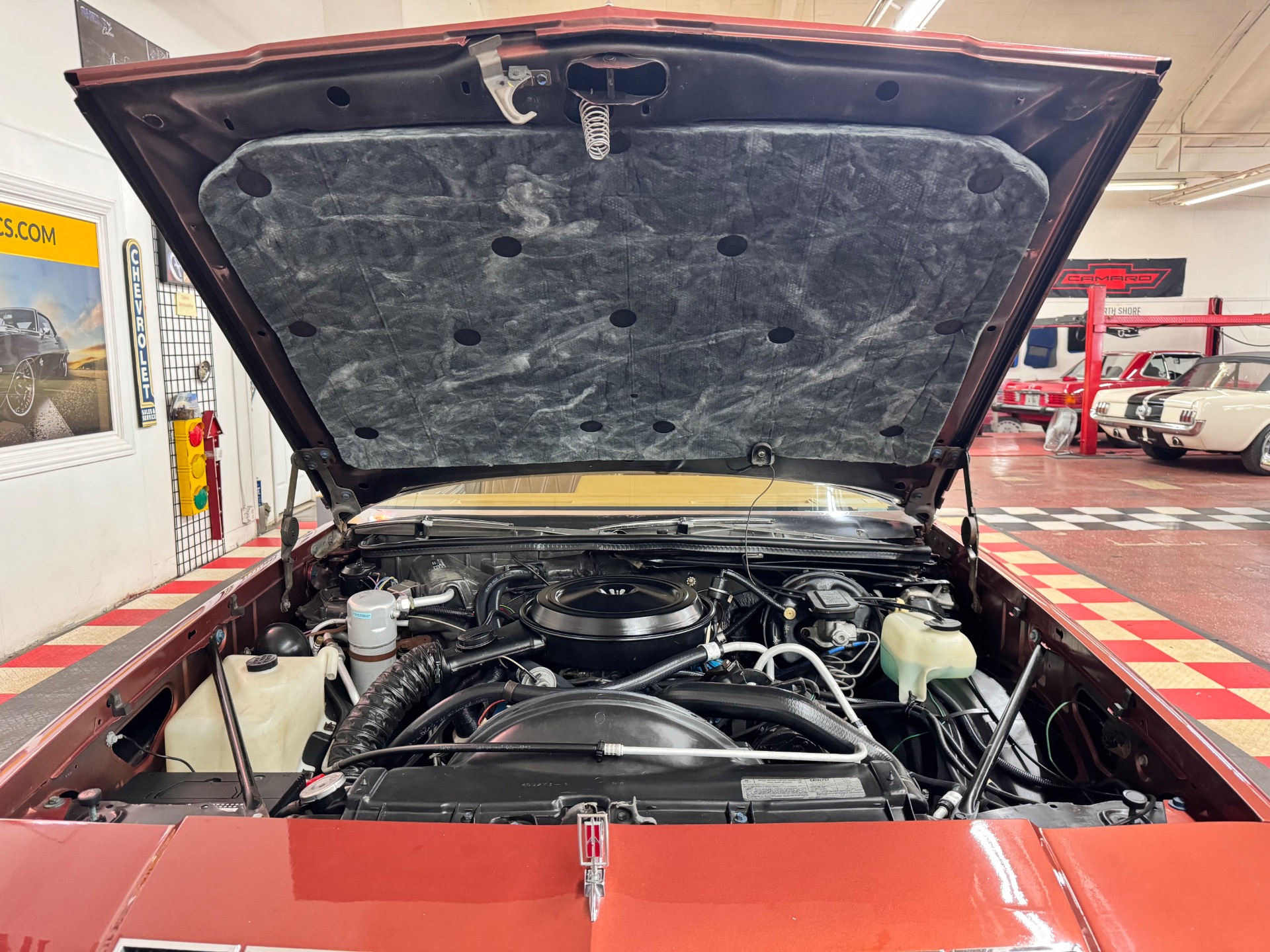 Used 1978 Oldsmobile Cutlass - SUPER LOW MILES -SEE VIDEO | St. Petersburg, FL