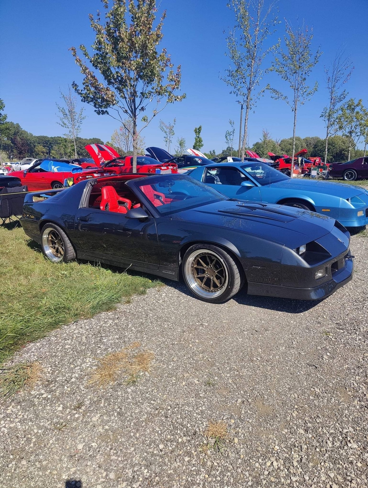 Used 1987 Chevrolet Camaro Z28 | St. Petersburg, FL