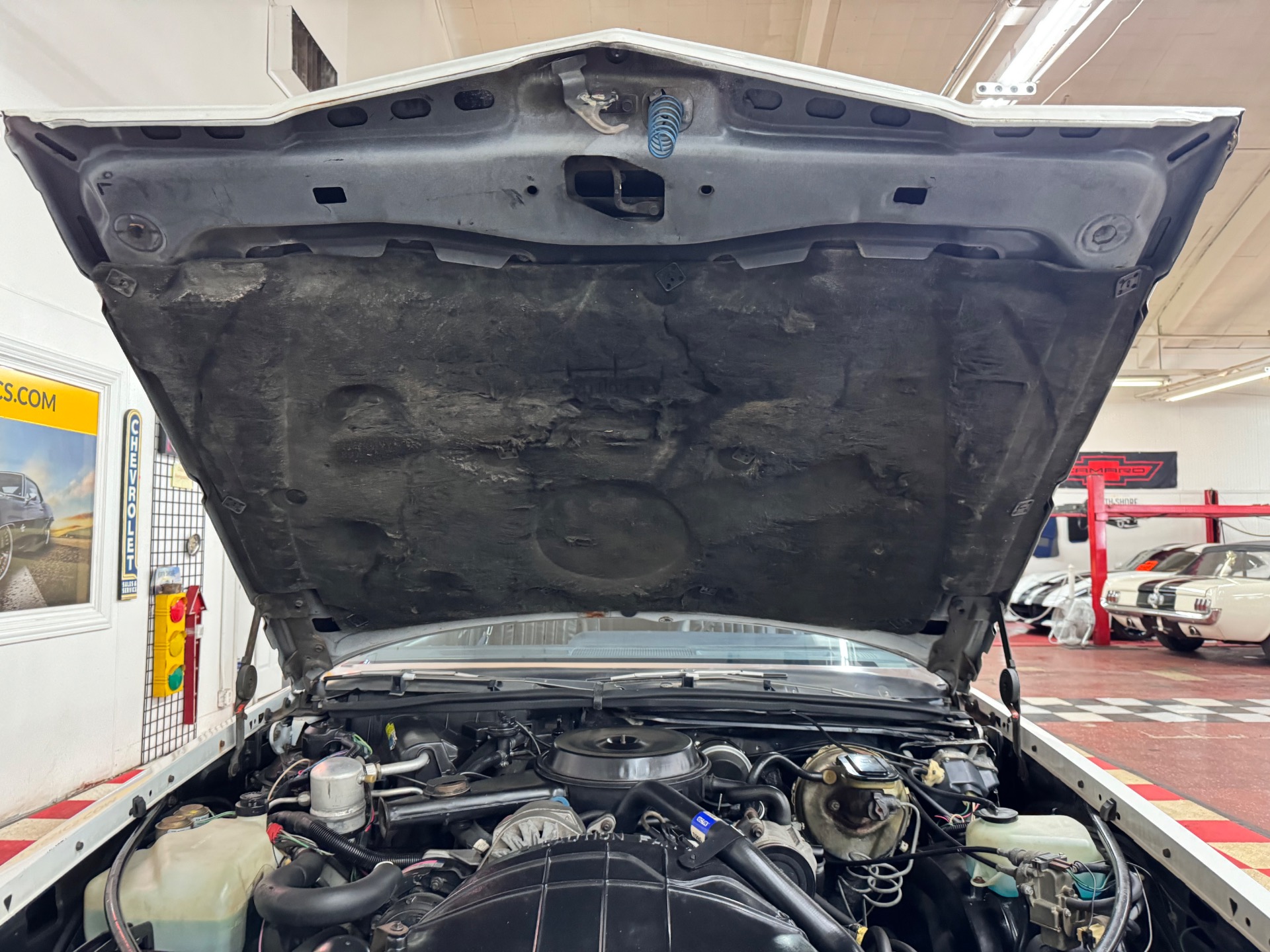Used 1981 Pontiac Grand Prix - CLEAN SOUTHERN TN CAR - | St. Petersburg, FL