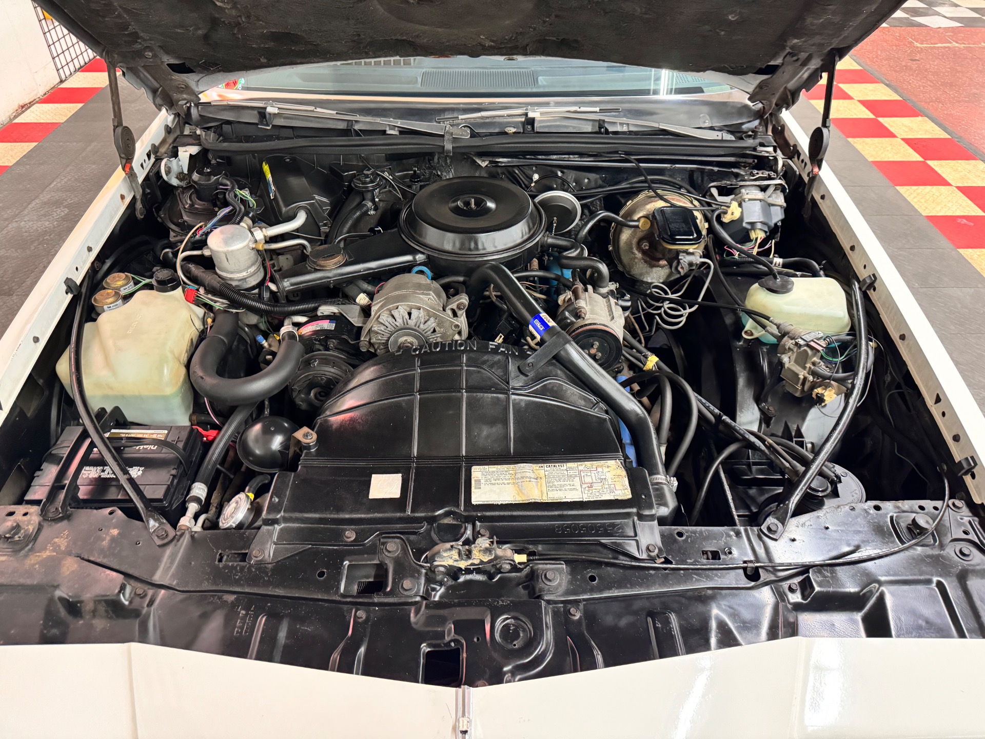 Used 1981 Pontiac Grand Prix - CLEAN SOUTHERN TN CAR - | St. Petersburg, FL