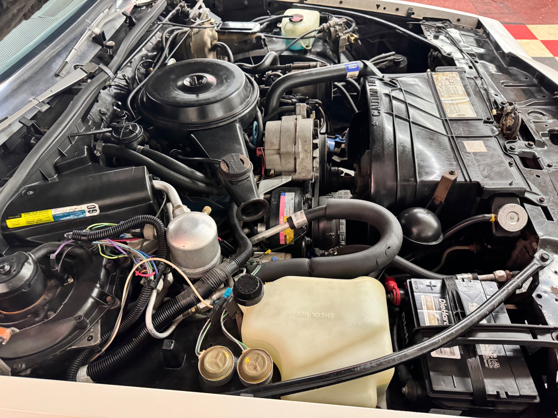 Used 1981 Pontiac Grand Prix - CLEAN SOUTHERN TN CAR - | St. Petersburg, FL