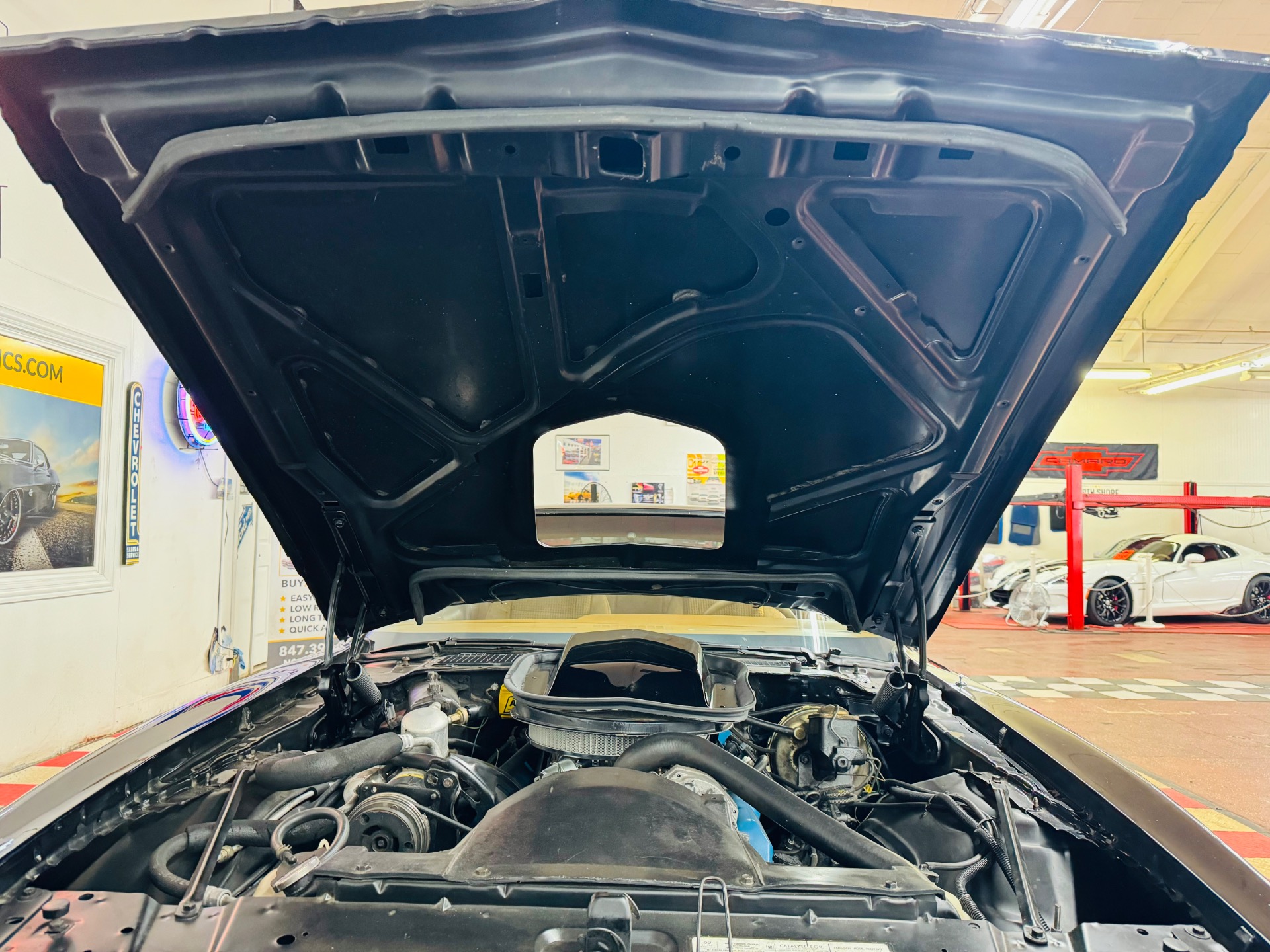 Used 1979 Pontiac Firebird - TRANS AM - SUPER LOW MILES - 2 OWNERS-SEE VIDEO | Mundelein, IL
