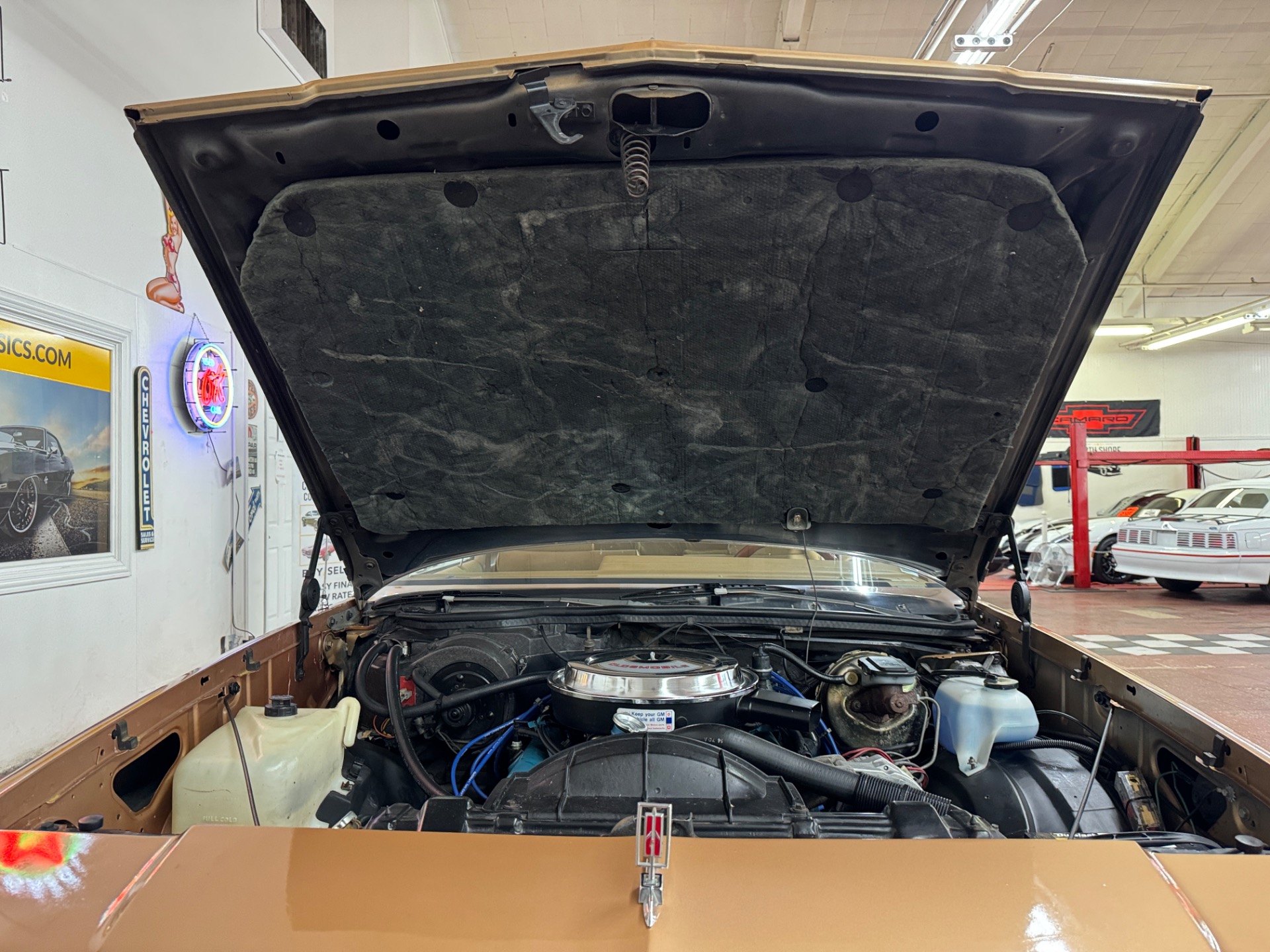 Used 1980 Oldsmobile Cutlass - CLEAN SOUTHERN CAR - LOW MILES -SEE VIDEO | Mundelein, IL