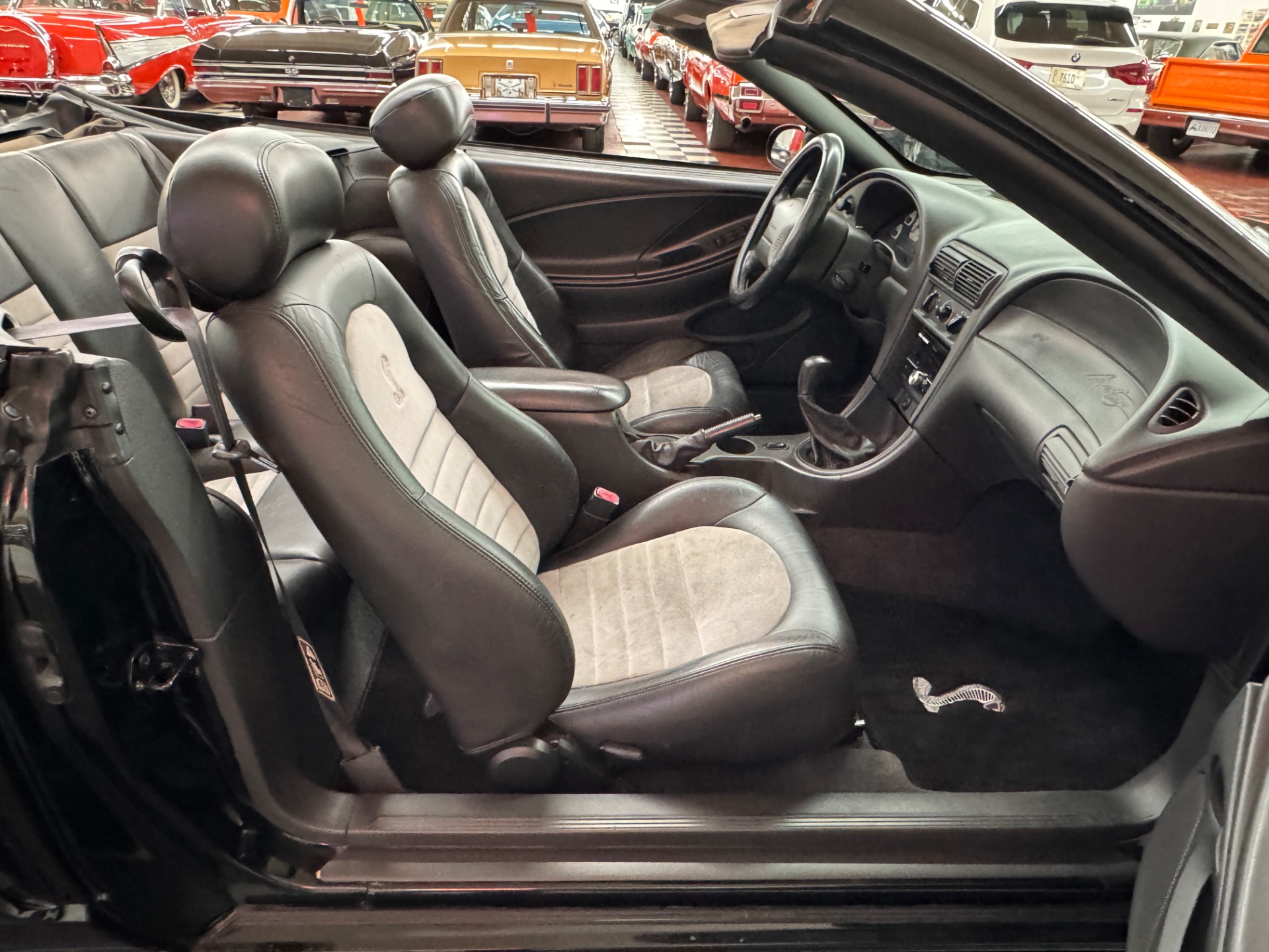 Used 2001 Ford Mustang - SVT COBRA CONVERTIBLE -SEE VIDEO | Mundelein, IL