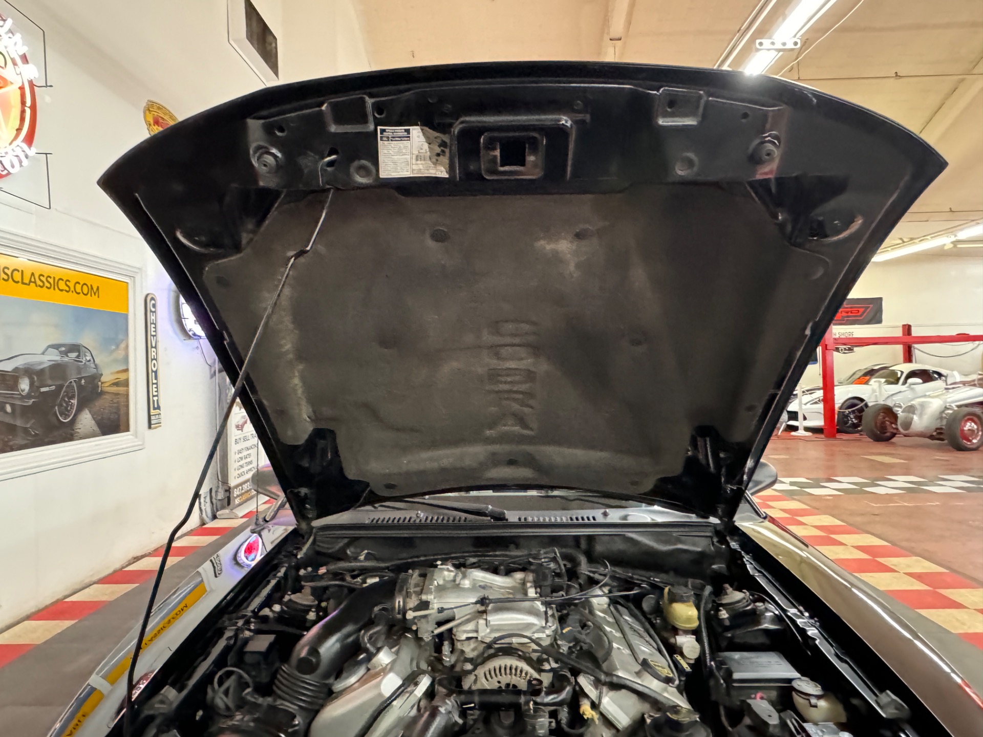 Used 2001 Ford Mustang - SVT COBRA CONVERTIBLE -SEE VIDEO | Mundelein, IL