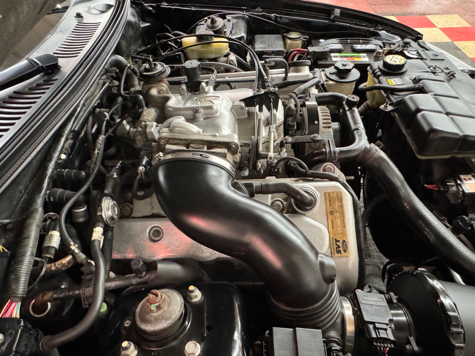 Used 2001 Ford Mustang - SVT COBRA CONVERTIBLE -SEE VIDEO | Mundelein, IL